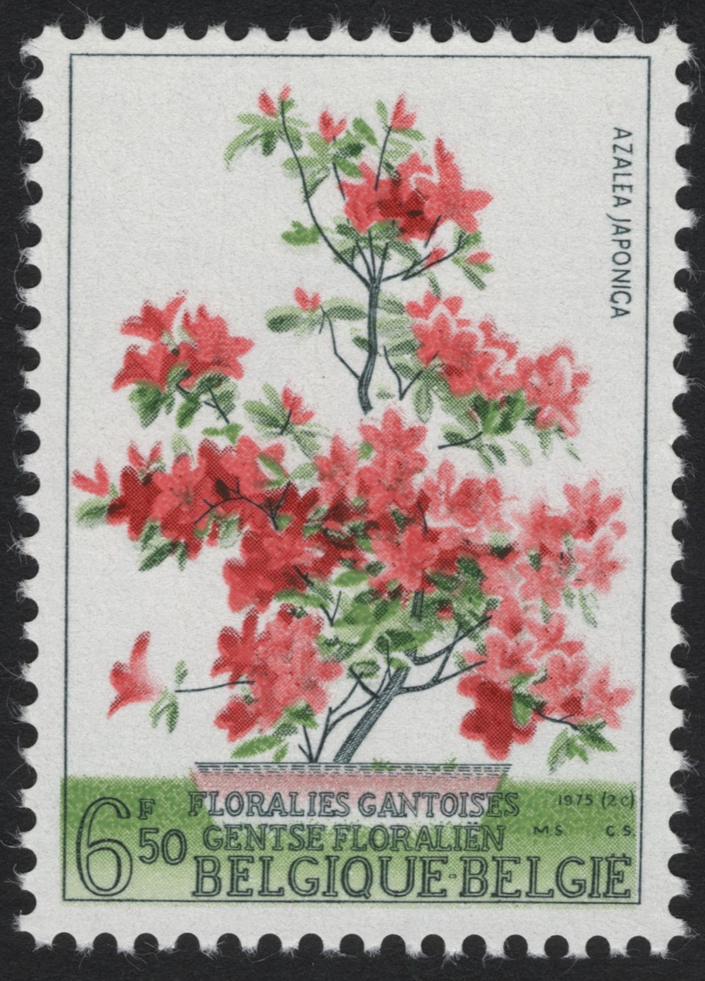 SCG6249 - Belgium 1975 – Azalea Japonica, Ghent Floralies Issue
