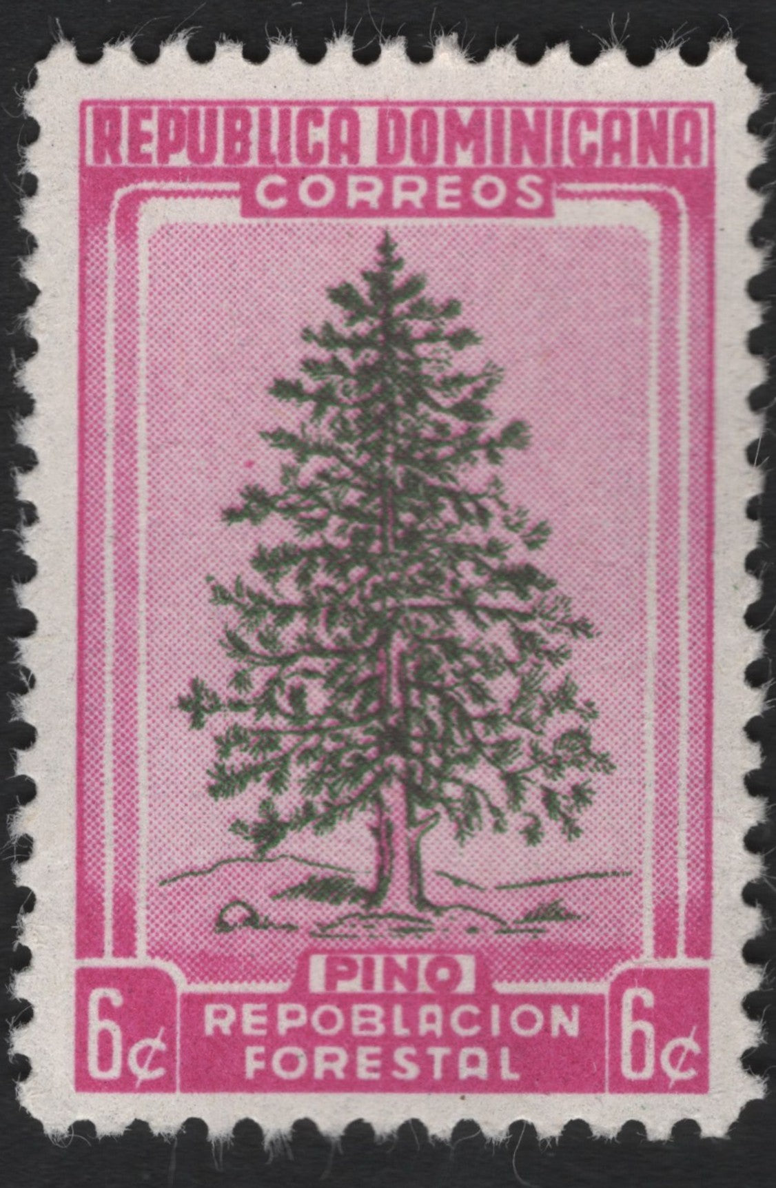 SCG6659 - Dominican Republic 6 Centavos “Pine Tree – Reforestación Forestal” (Forestry Replanting Issue)
