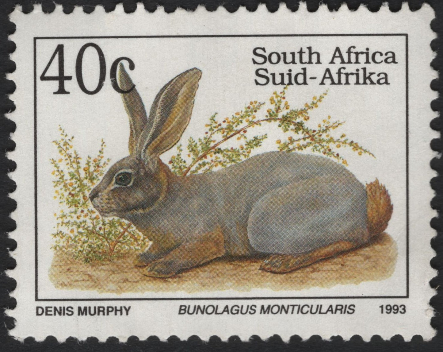 SCG6954 - South Africa 1993 – Riverine Rabbit (Bunolagus monticularis)