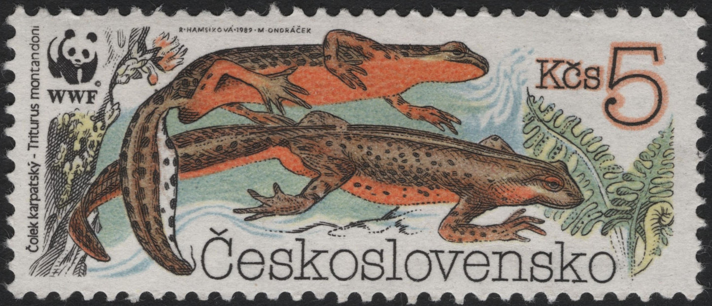 SCG7042 - Czechoslovakia 1989, 5 Kčs “Carpathian Newt” (WWF Issue)