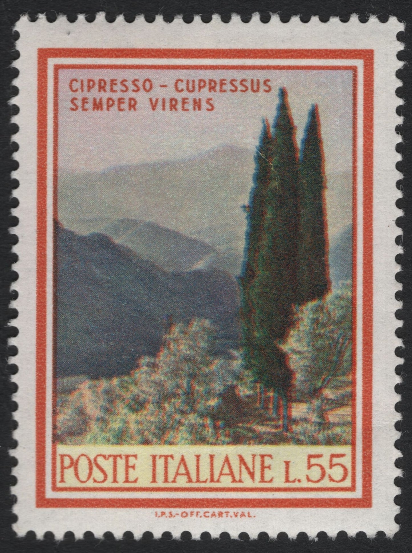 SCG6926 - Italy 1960 “Cypress Tree (Cupressus semper virens)” — L.55