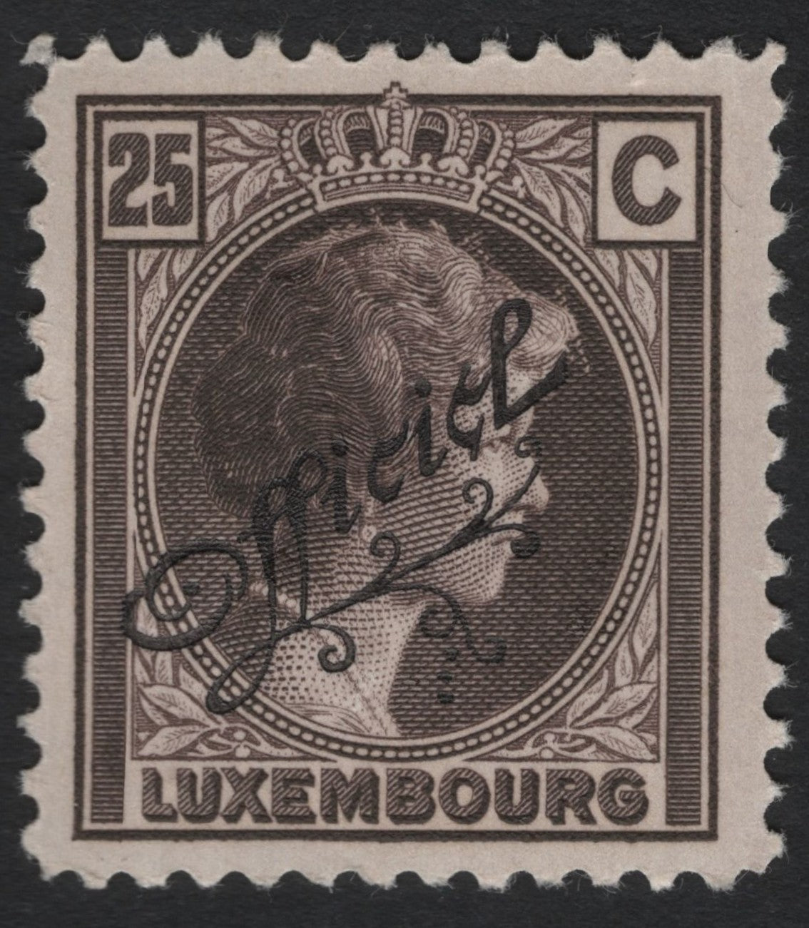 SCG7329 - Luxembourg 1906 Official Stamp – Grand Duchess Marie-Adélaïde (Overprinted “Officiel”)