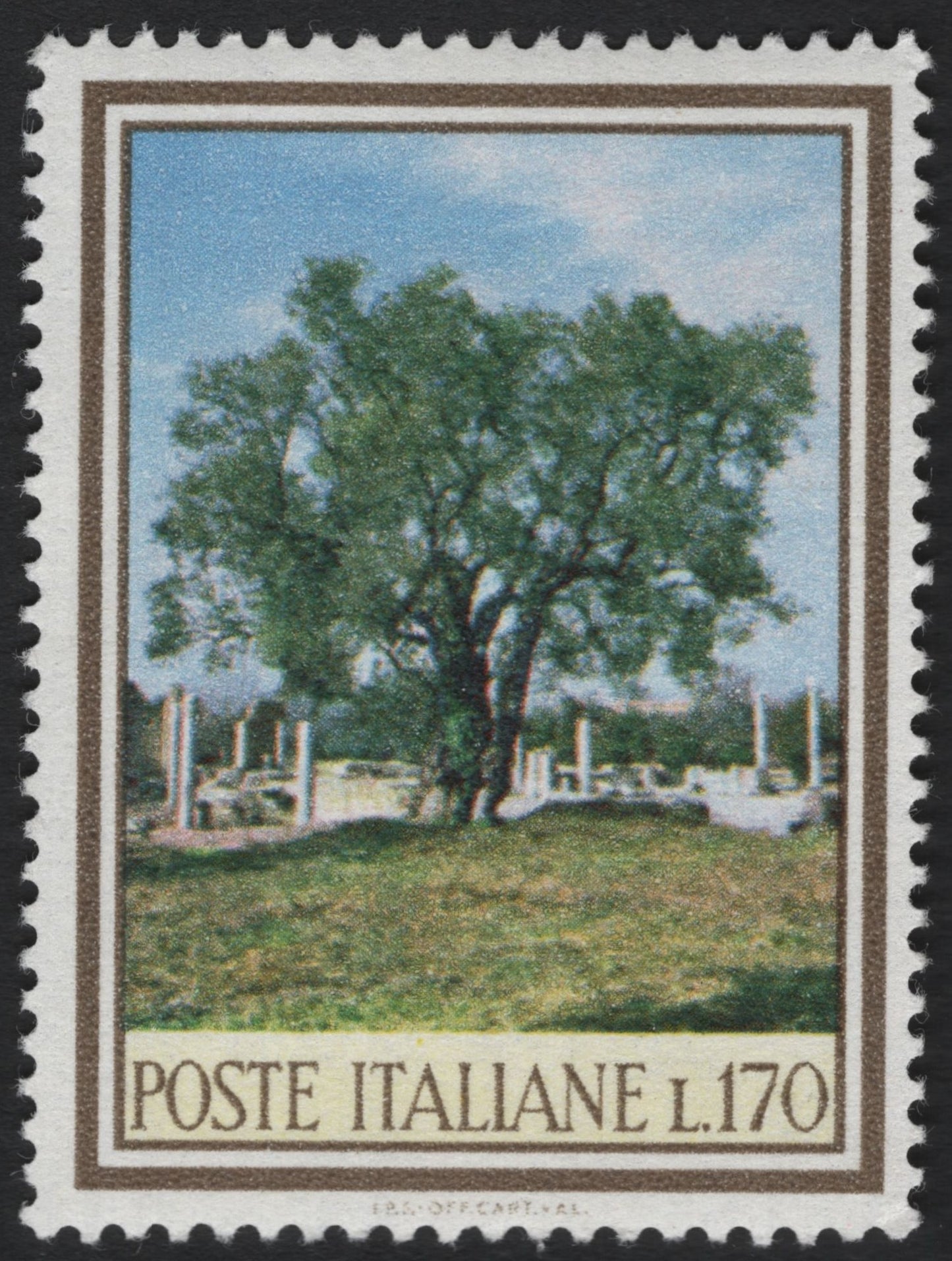 SCG7752 - Italy 1986 – Olive Tree, Paestum