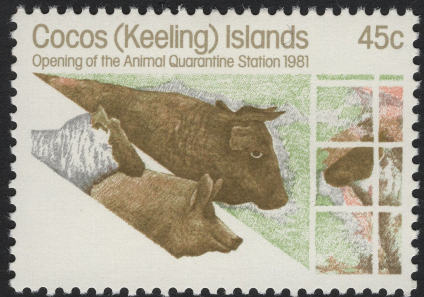 SCG8078 - Cocos (Keeling) Islands – Opening of the Animal Quarantine Station (1981)