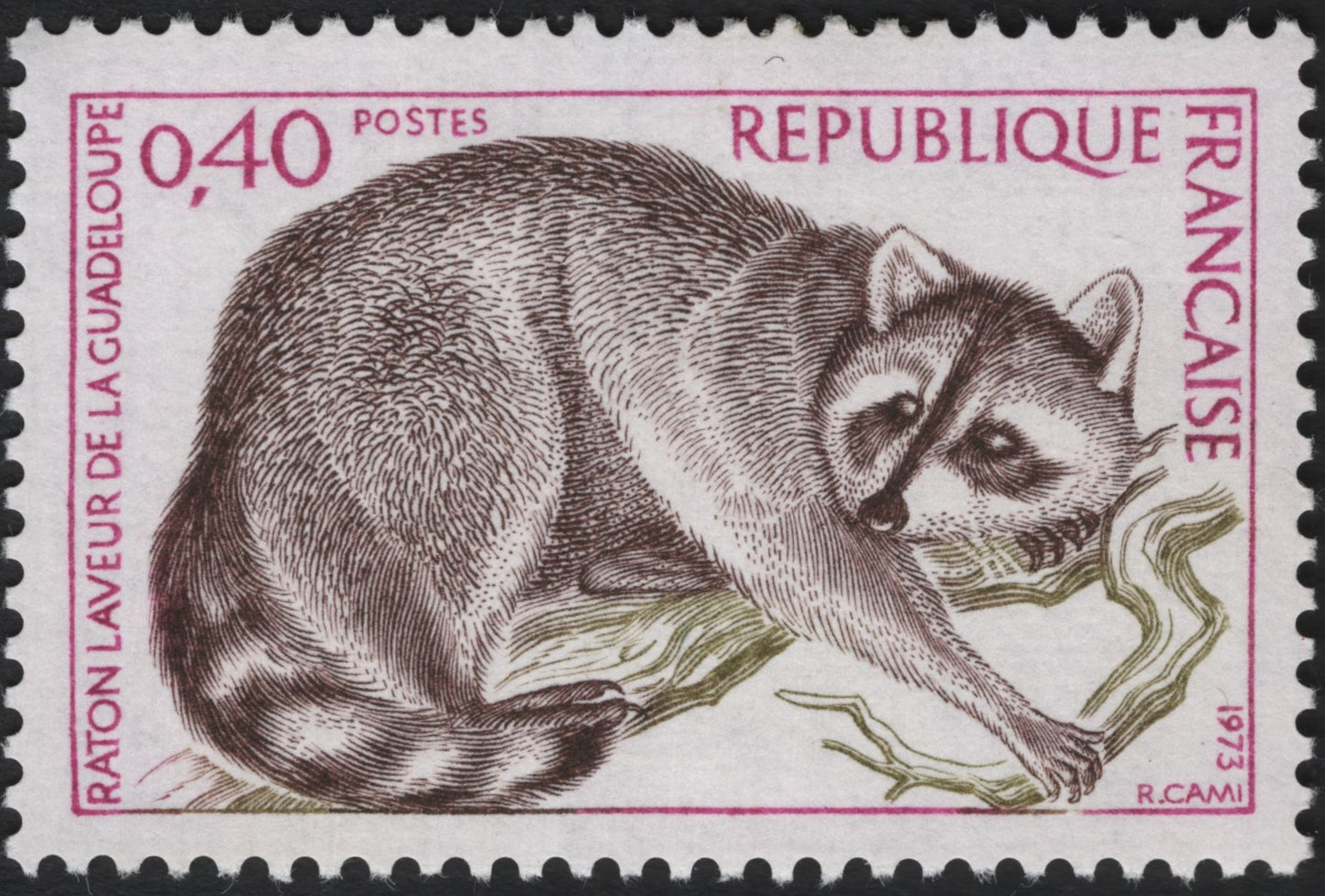 SCG8043 - Guadeloupe Raccoon – French Republic, 1973
