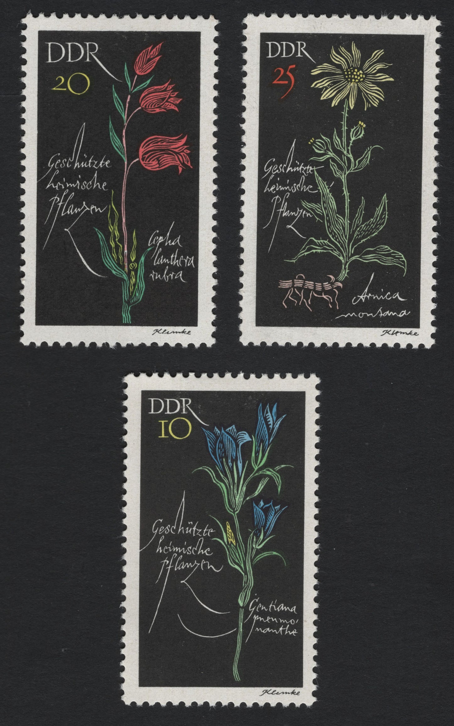 SCG8129 - East Germany 1969 – Protected Native Plants Series