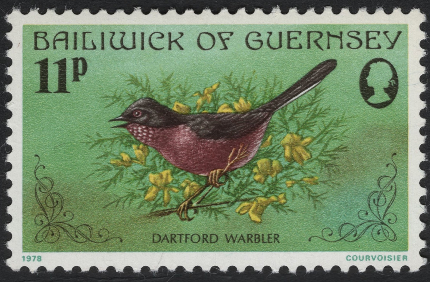 SCG8427 - Dartford Warbler – Guernsey 1978 (11p)