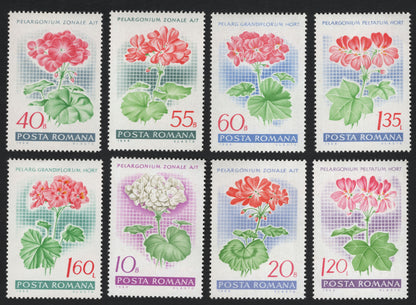 SCG8689 - Romania 1968 “Pelargonium” Flower Definitive Series