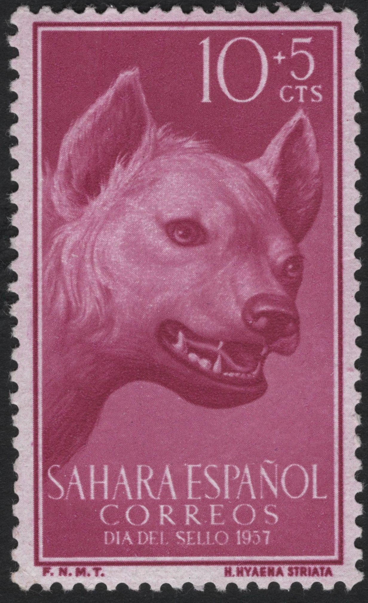 SCG8269 - Spanish Sahara 1957 – Striped Hyena (Hyaena striata)