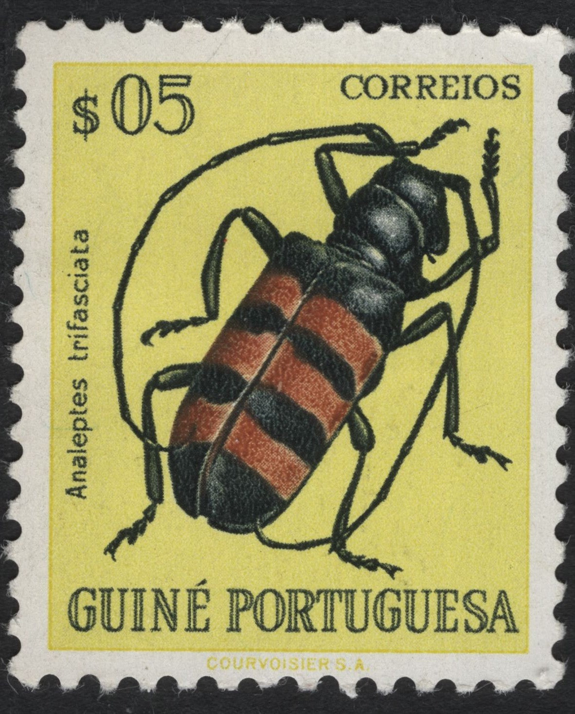 SCG8254 - Portuguese Guinea – Analeptes trifasciata Beetle (c. 1960s)
