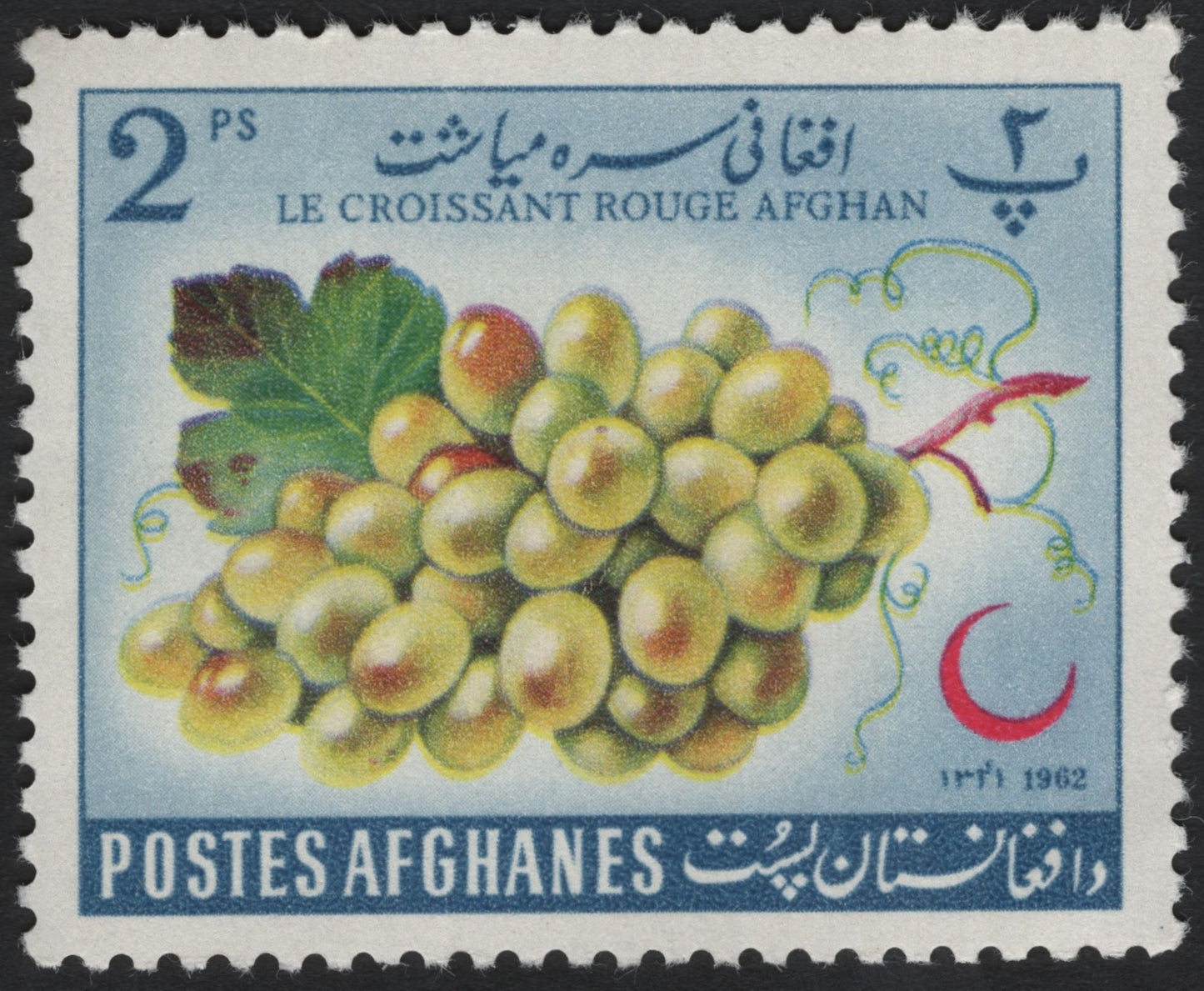 SCG8616 - Afghanistan 1962 – Red Cross Grapes Issue