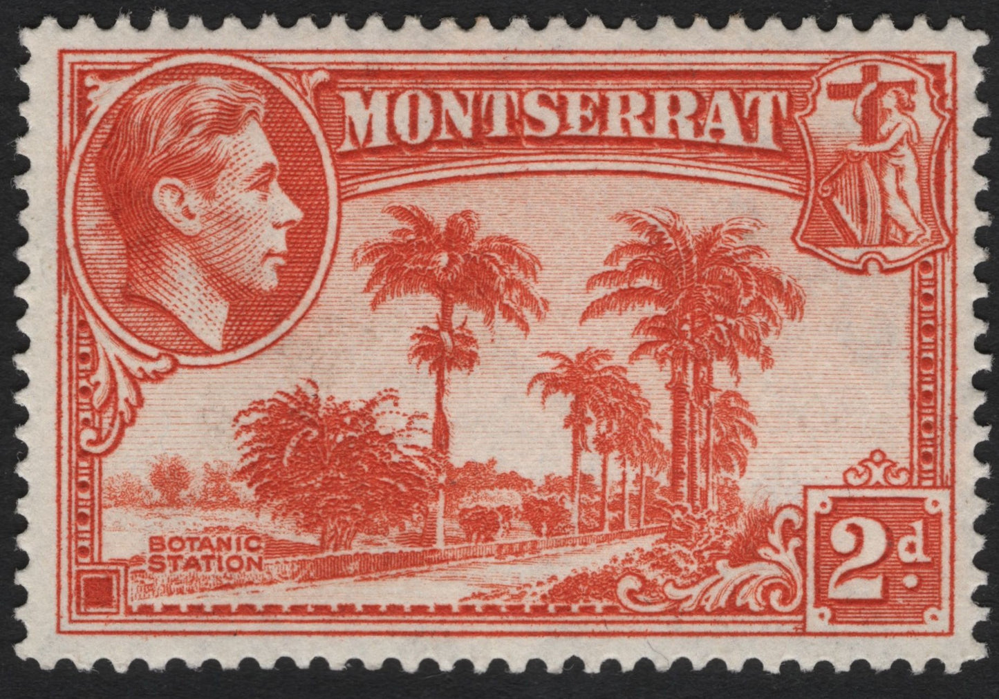 SCG9078 - Montserrat 2d “Botanic Station” – King George VI Definitive