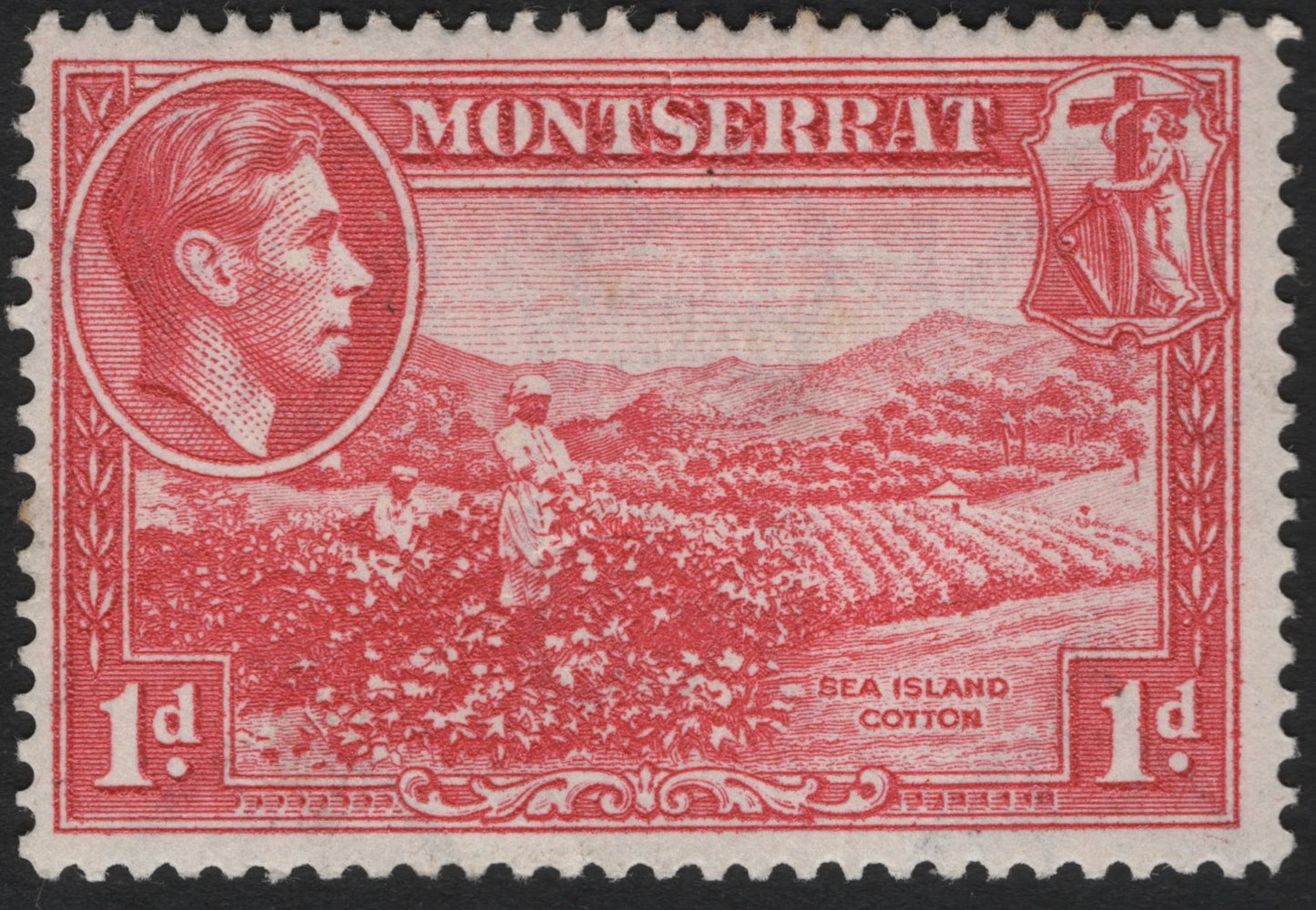 SCG9079 - Montserrat 1d Sea Island Cotton – King George VI (c. 1938–48)