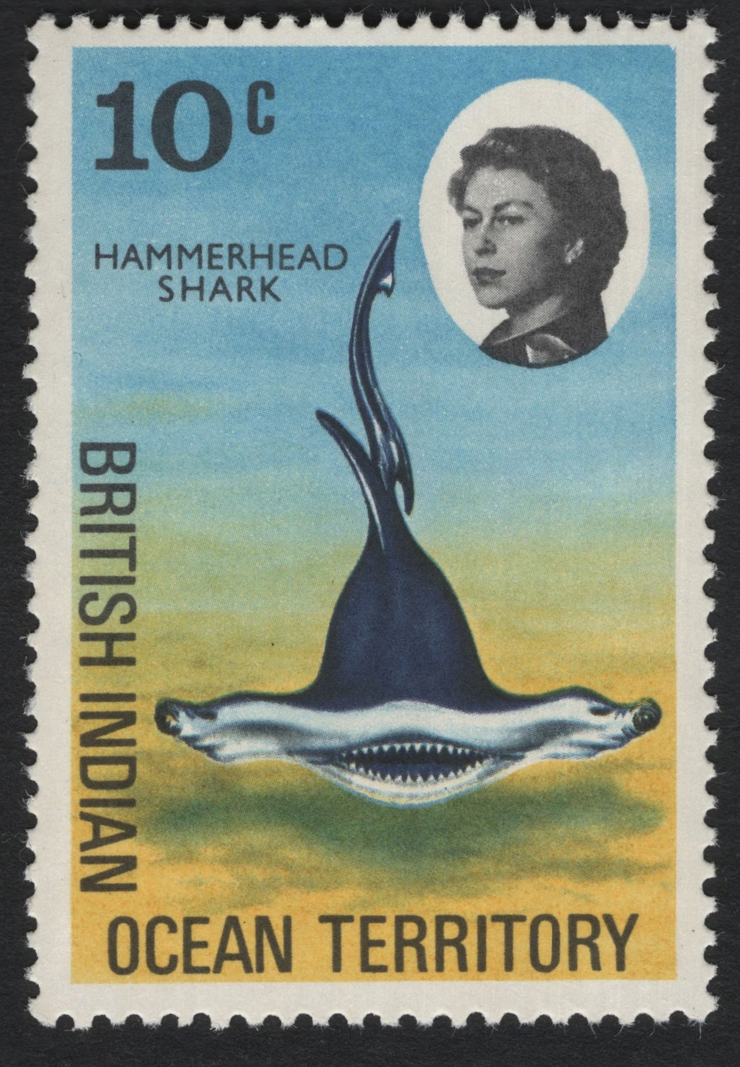 SCG9213 - British Indian Ocean Territory – 10c Hammerhead Shark Definitive