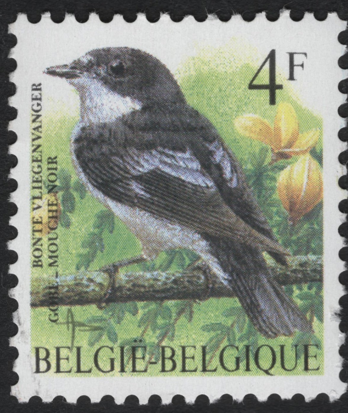 SCG9113 - Belgium – 4F European Pied Flycatcher (Bonte Vliegenvanger) Stamp