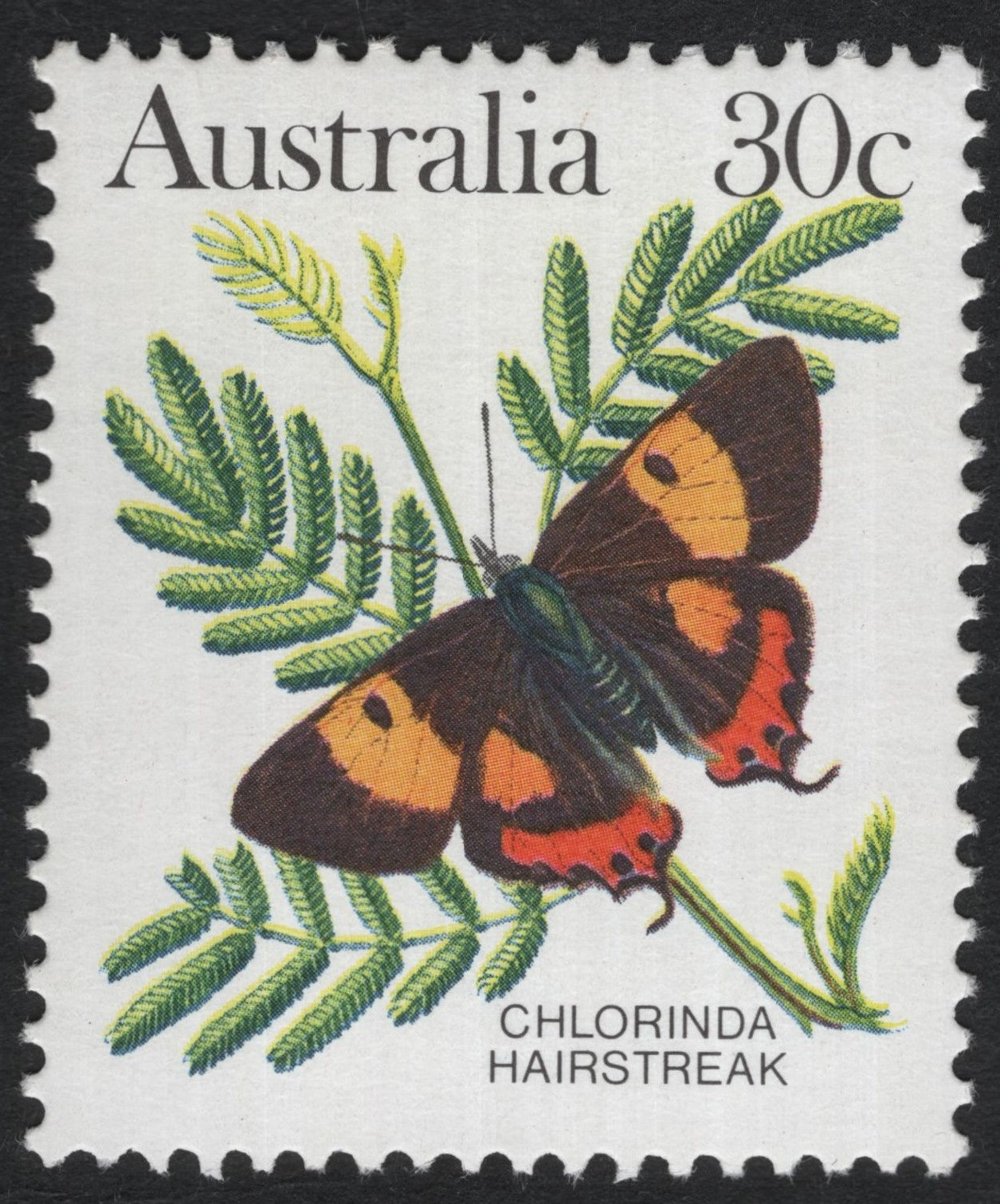SCG9114 - Australia 30c Chlorinda Hairstreak Butterfly (Colourful Lycaenid Issue)