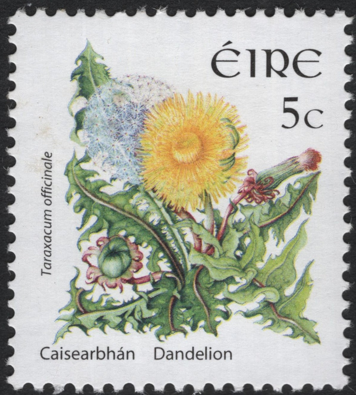 SCG9112 - Ireland 5c “Dandelion – Taraxacum officinale” Wildflower Stamp