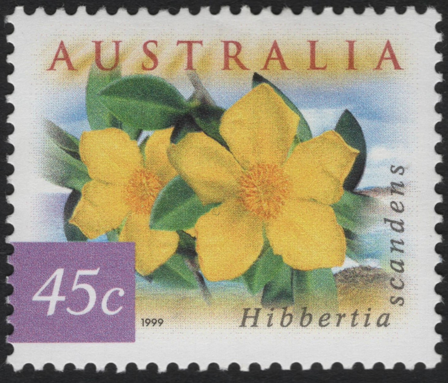 SCG9230 - Australia 1999 – Hibbertia scandens 45c Definitive