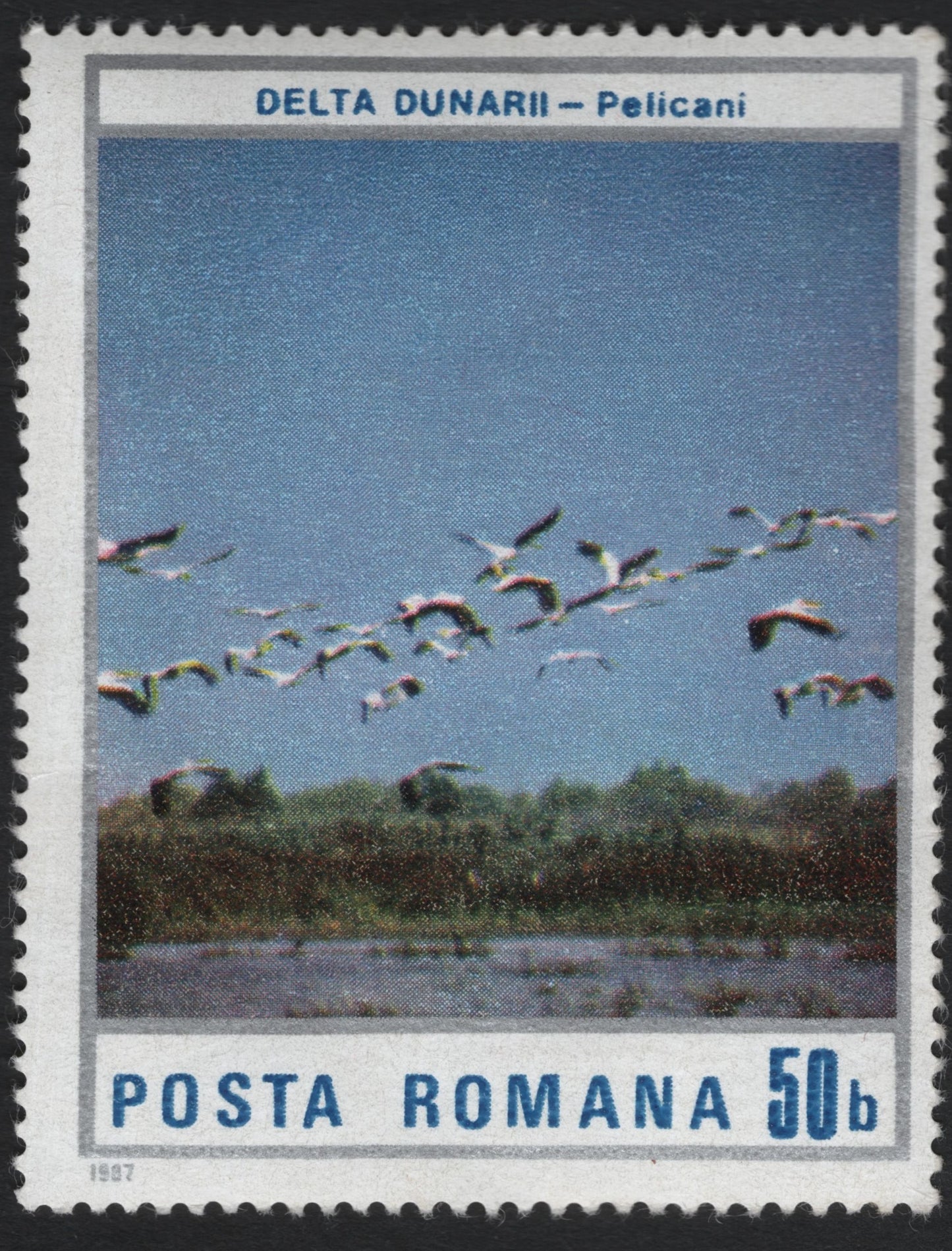 SCG9521 - Romania 1967 – Pelicans Over the Danube Delta (50 bani)