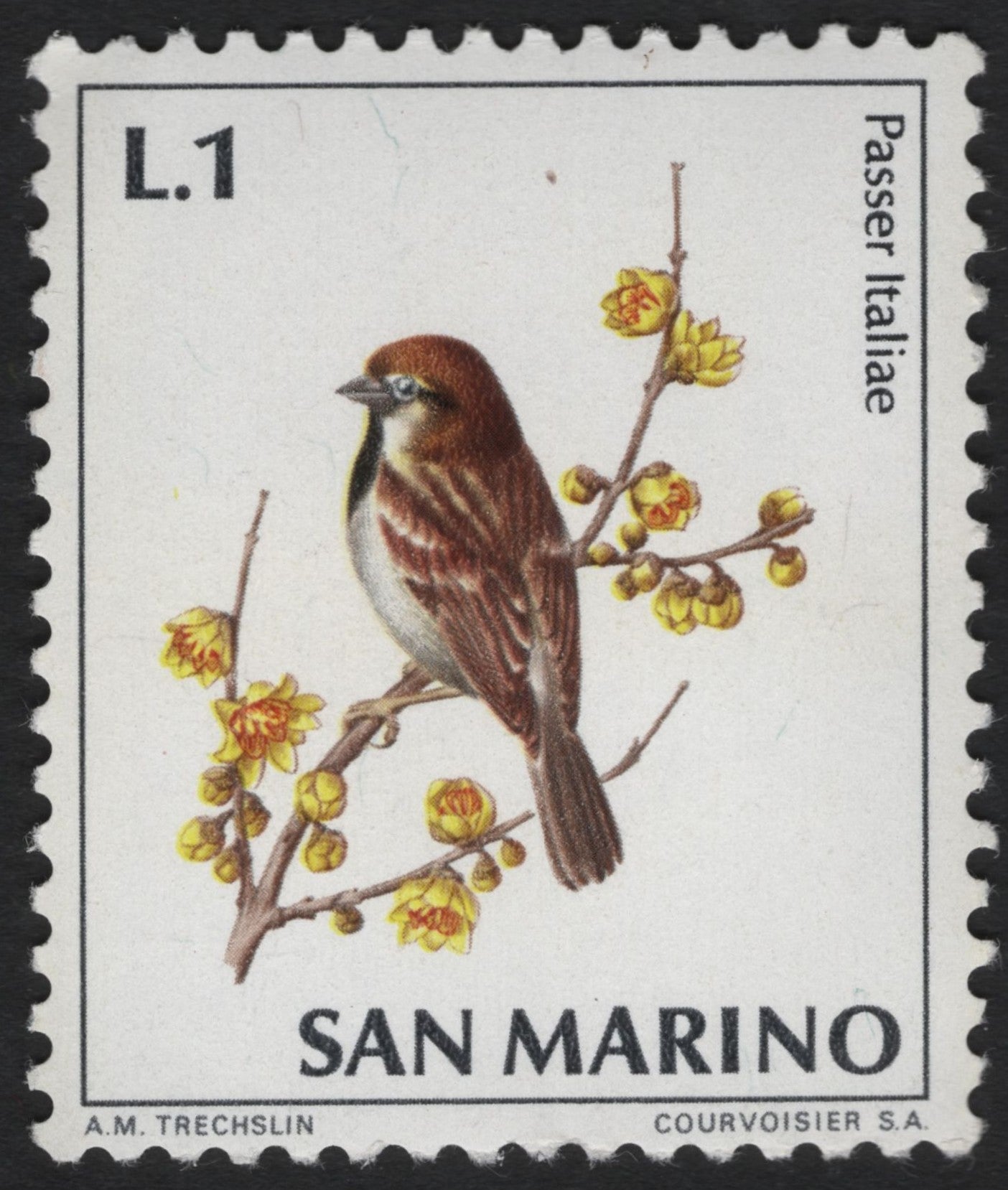 SCG9530 - San Marino L.1 Passer italiae Sparrow Stamp