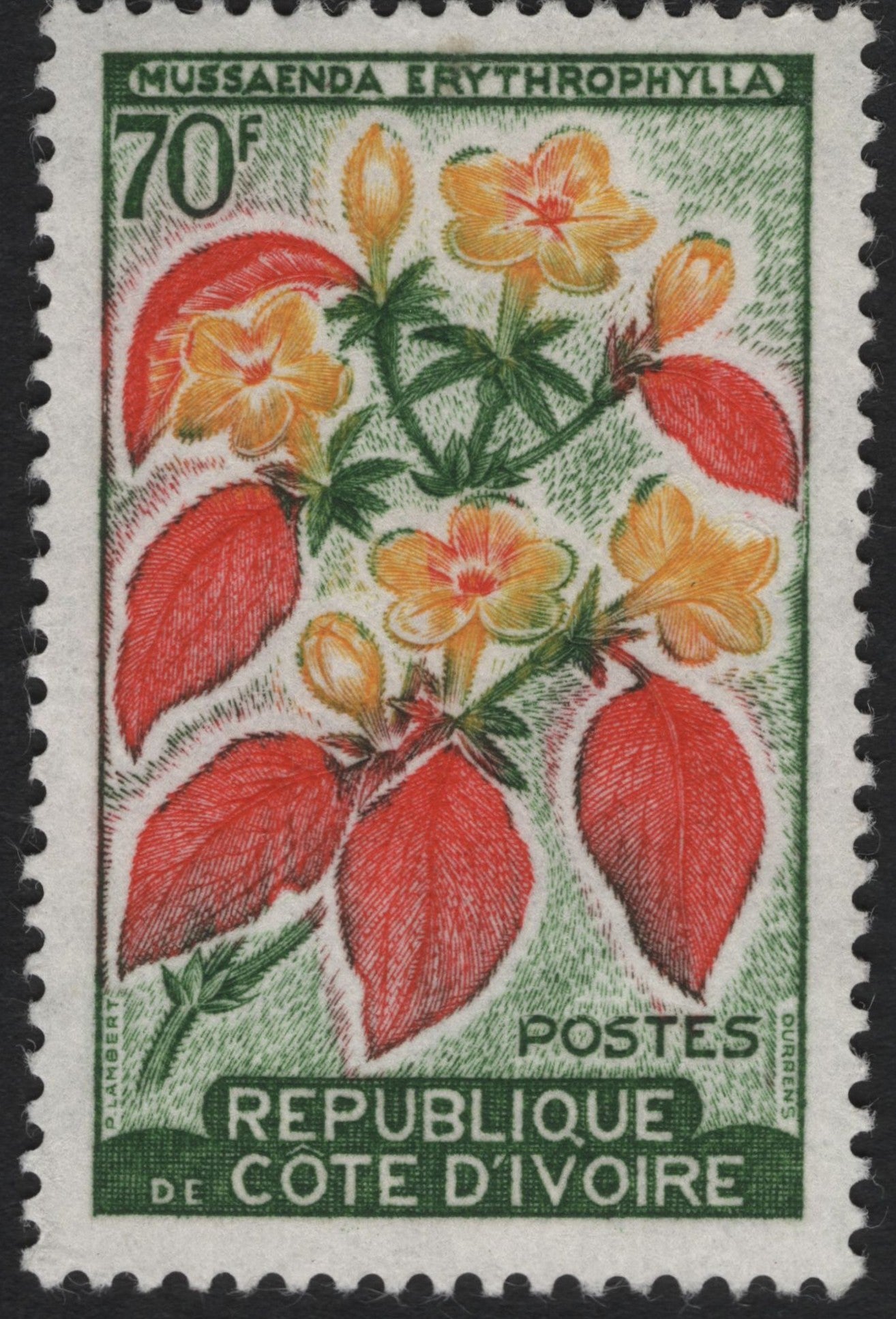 SCG10170 - Côte d’Ivoire 70F Mussaenda Erythrophylla Botanical Issue