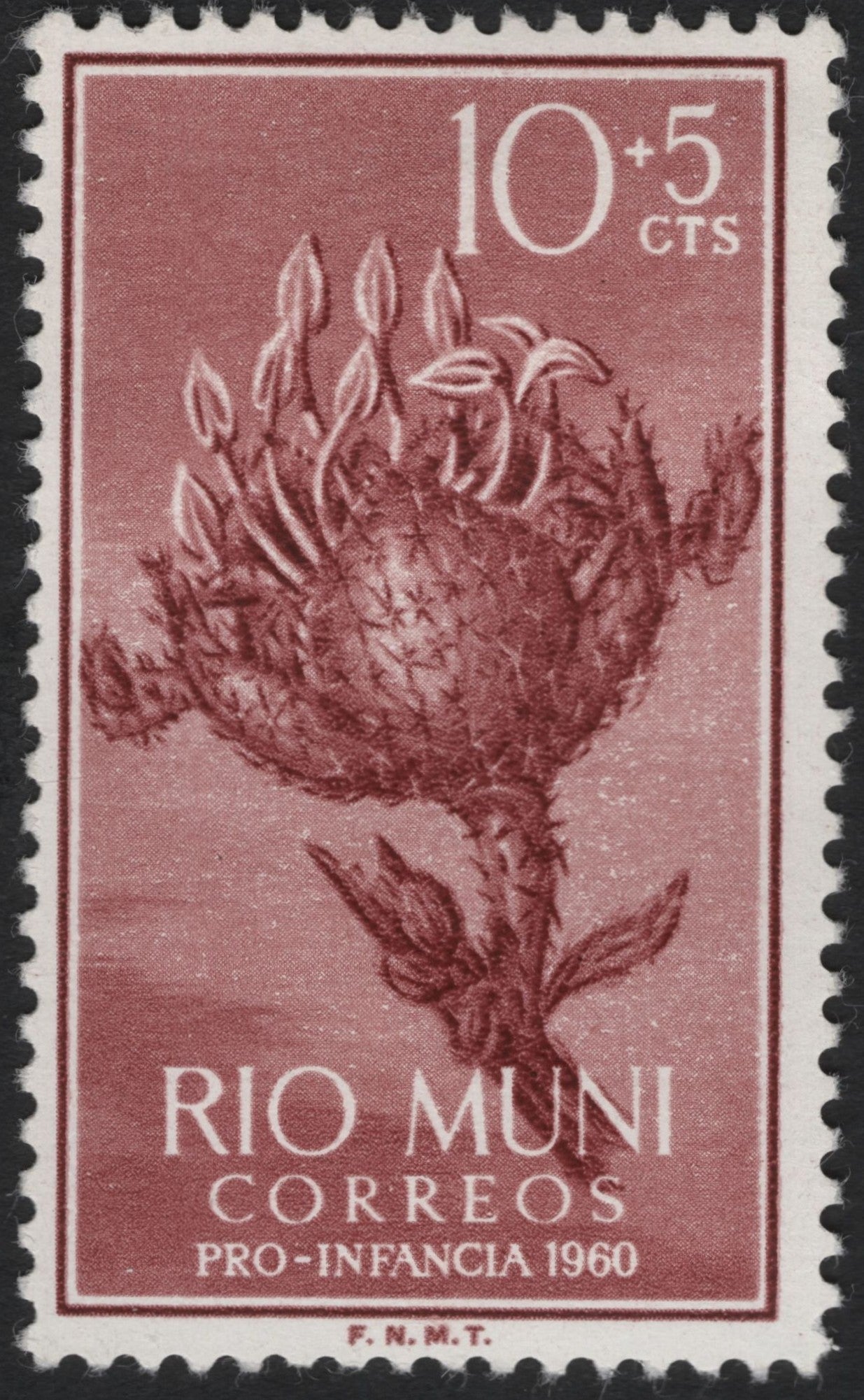 SCG10171 - 1960 Rio Muni Pro-Infancia Semi-Postal – Botanical Illustration (10c+5c)