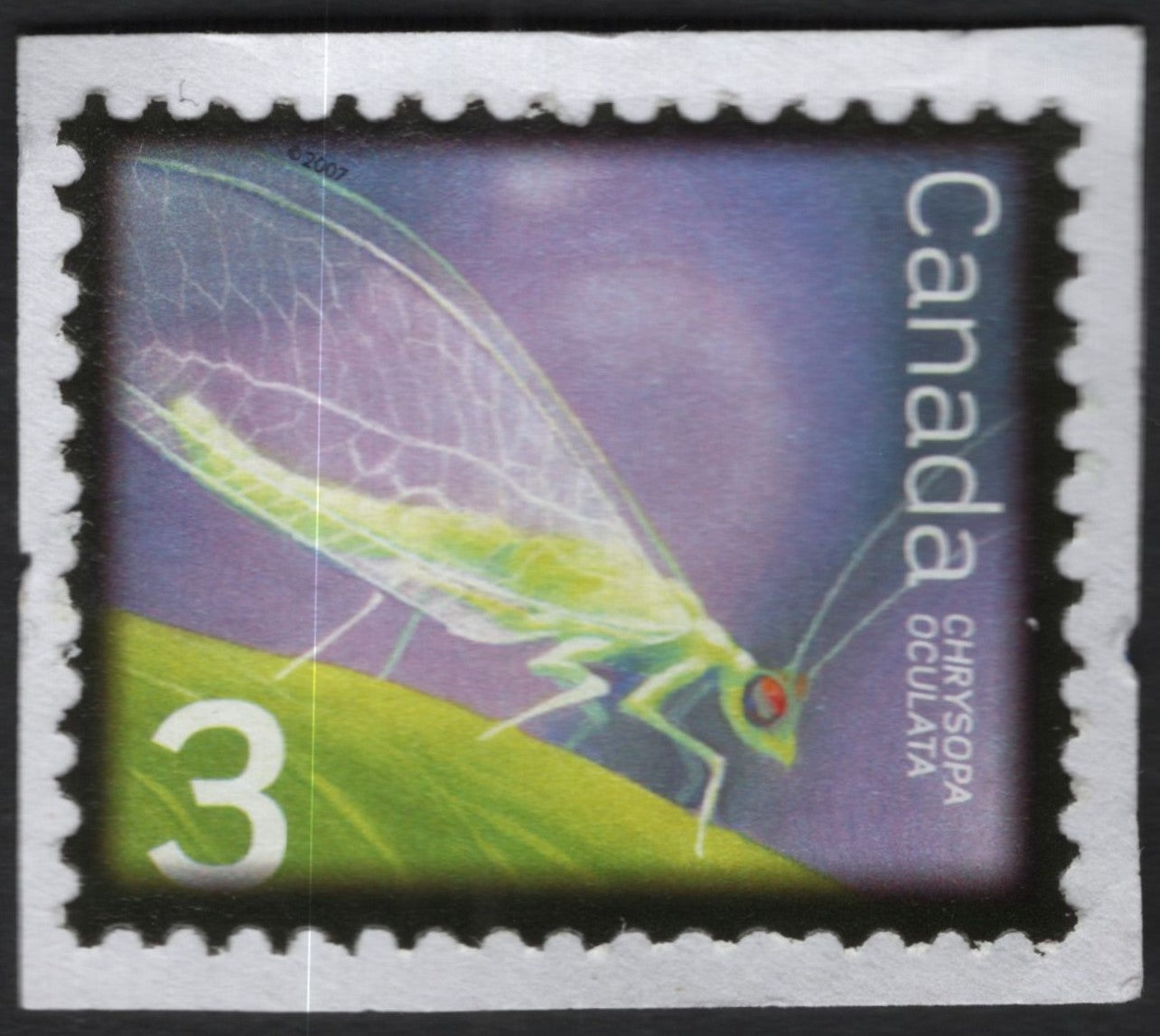 SCG10349 - Canada 2007 – Green Lacewing (Chrysopa oculata) 3¢ Definitive
