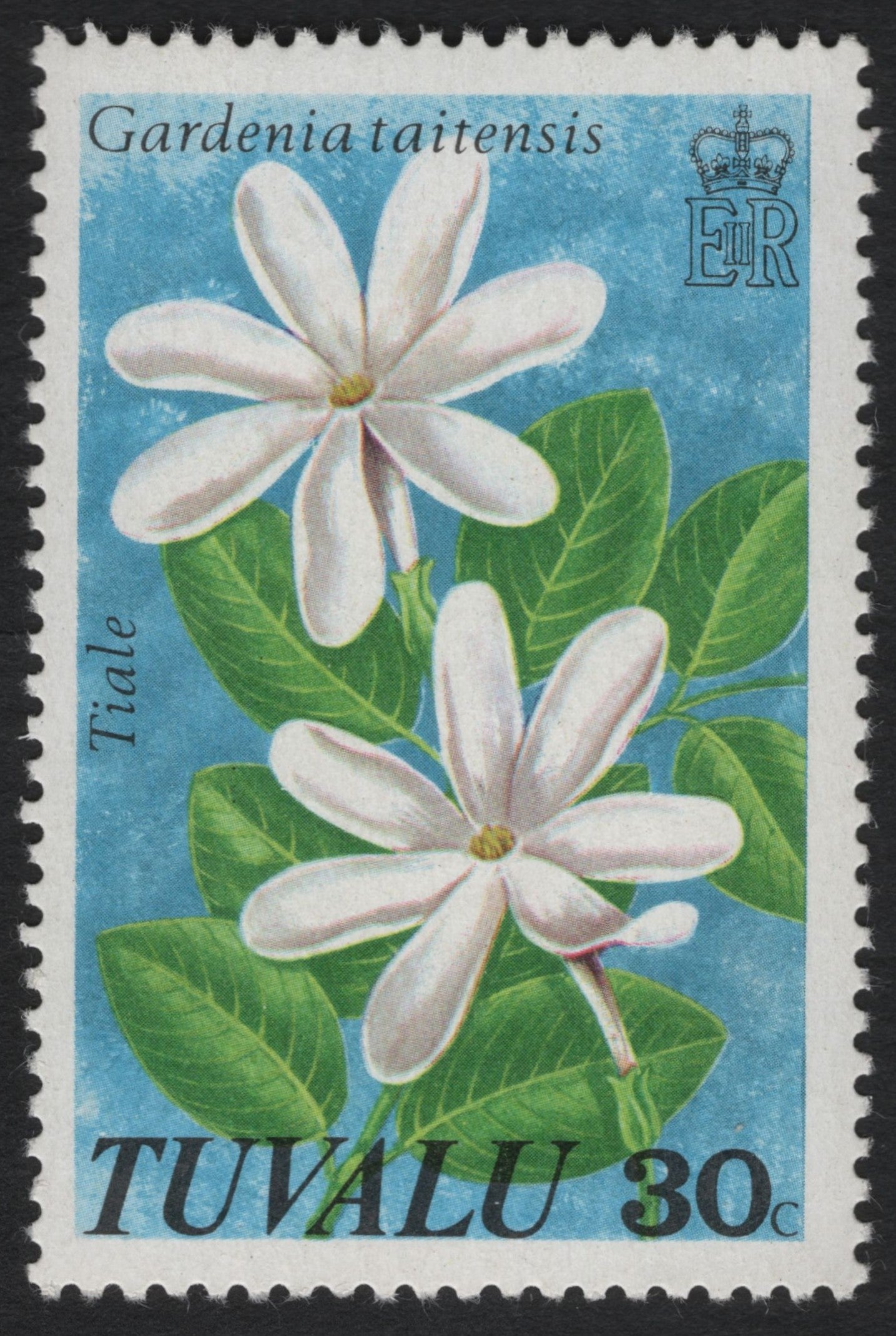 SCG10422 - 🌺 Tuvalu 30c “Gardenia taitensis – Tiale” Stamp