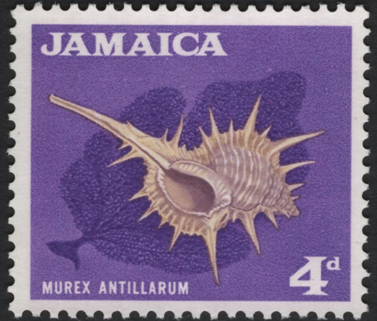 SCG10703 - Jamaica Pre-Decimal Wildlife Pair – Murex Shell (4d) & Papilio Homerus Butterfly (6d)