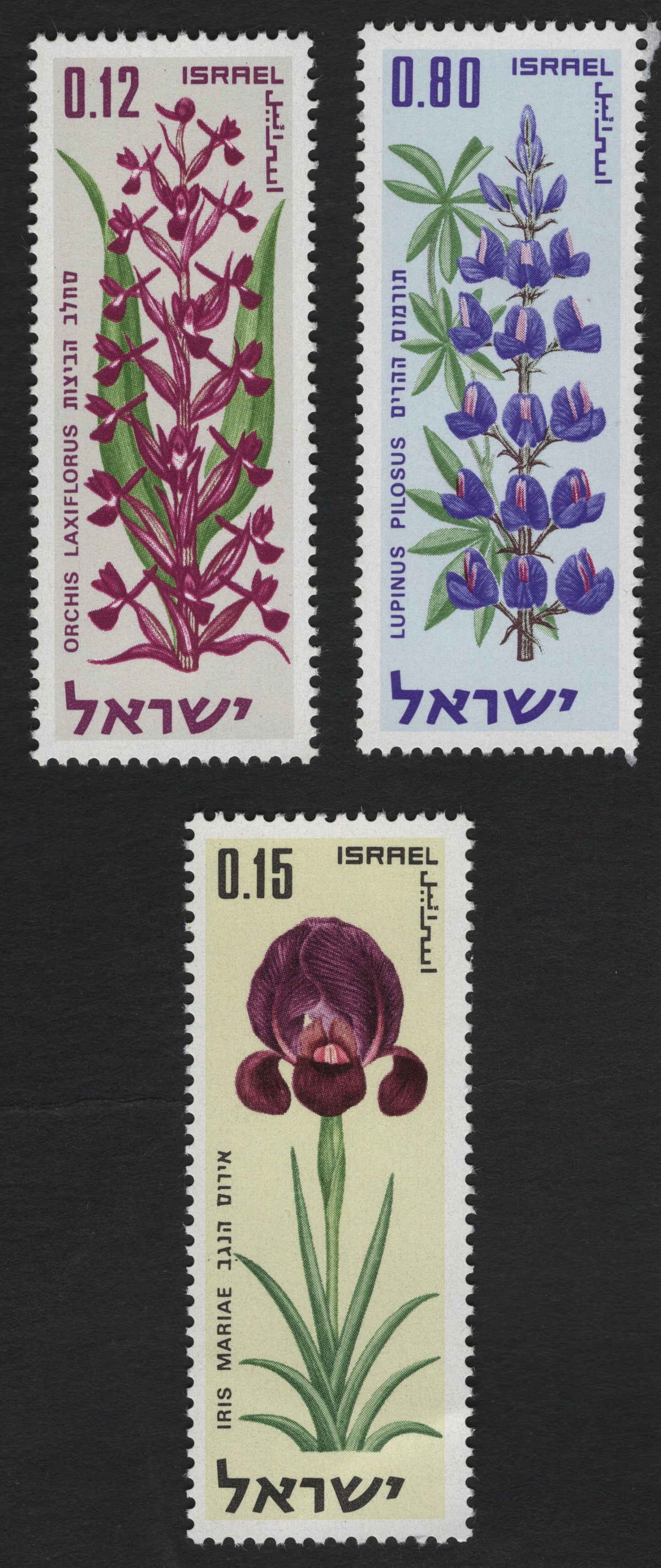 SCG10719 - Israel 1970 Wildflowers Definitive Set – Orchis Laxiflorus, Lupinus Pilosus & Iris Mariae