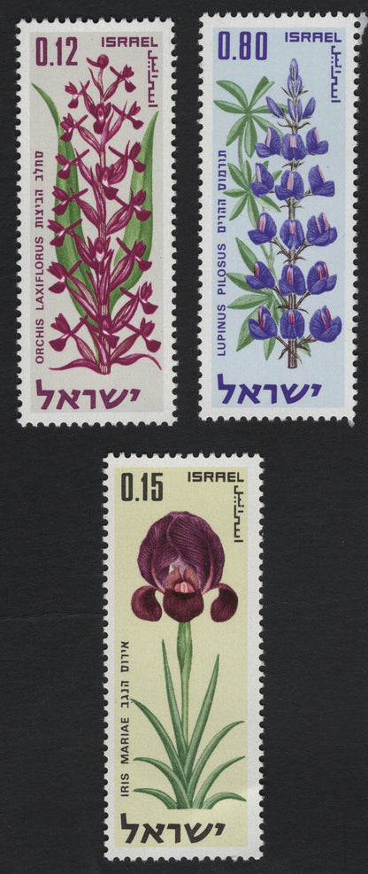 SCG10719 - Israel 1970 Wildflowers Definitive Set – Orchis Laxiflorus, Lupinus Pilosus & Iris Mariae