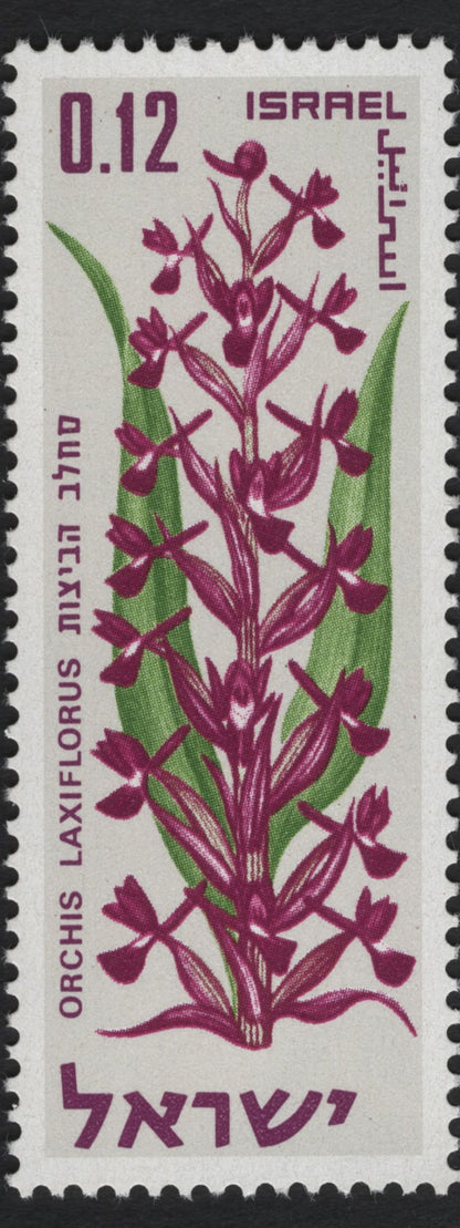 SCG10719 - Israel 1970 Wildflowers Definitive Set – Orchis Laxiflorus, Lupinus Pilosus & Iris Mariae