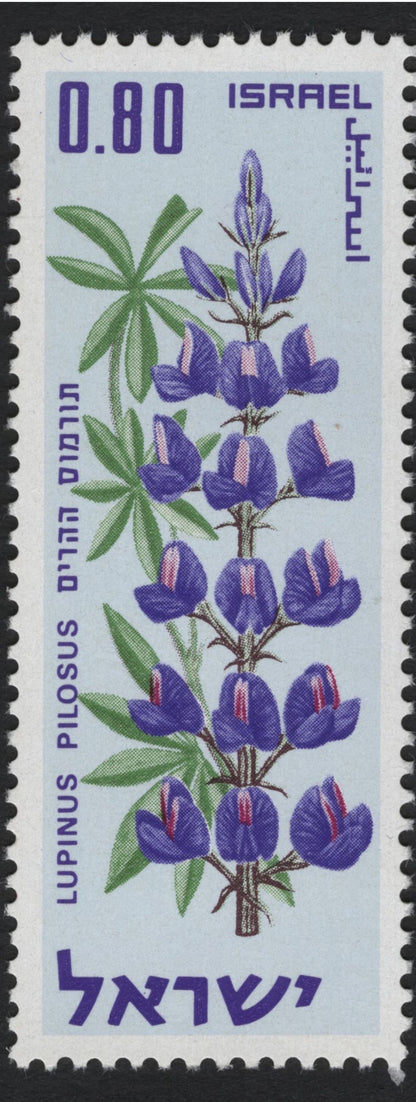 SCG10719 - Israel 1970 Wildflowers Definitive Set – Orchis Laxiflorus, Lupinus Pilosus & Iris Mariae