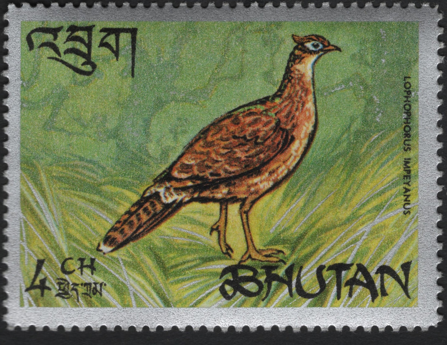 SCG10449 - Bhutan – 4 Chhertum “Himalayan Monal (Lophophorus impejanus)” Bird Stamp