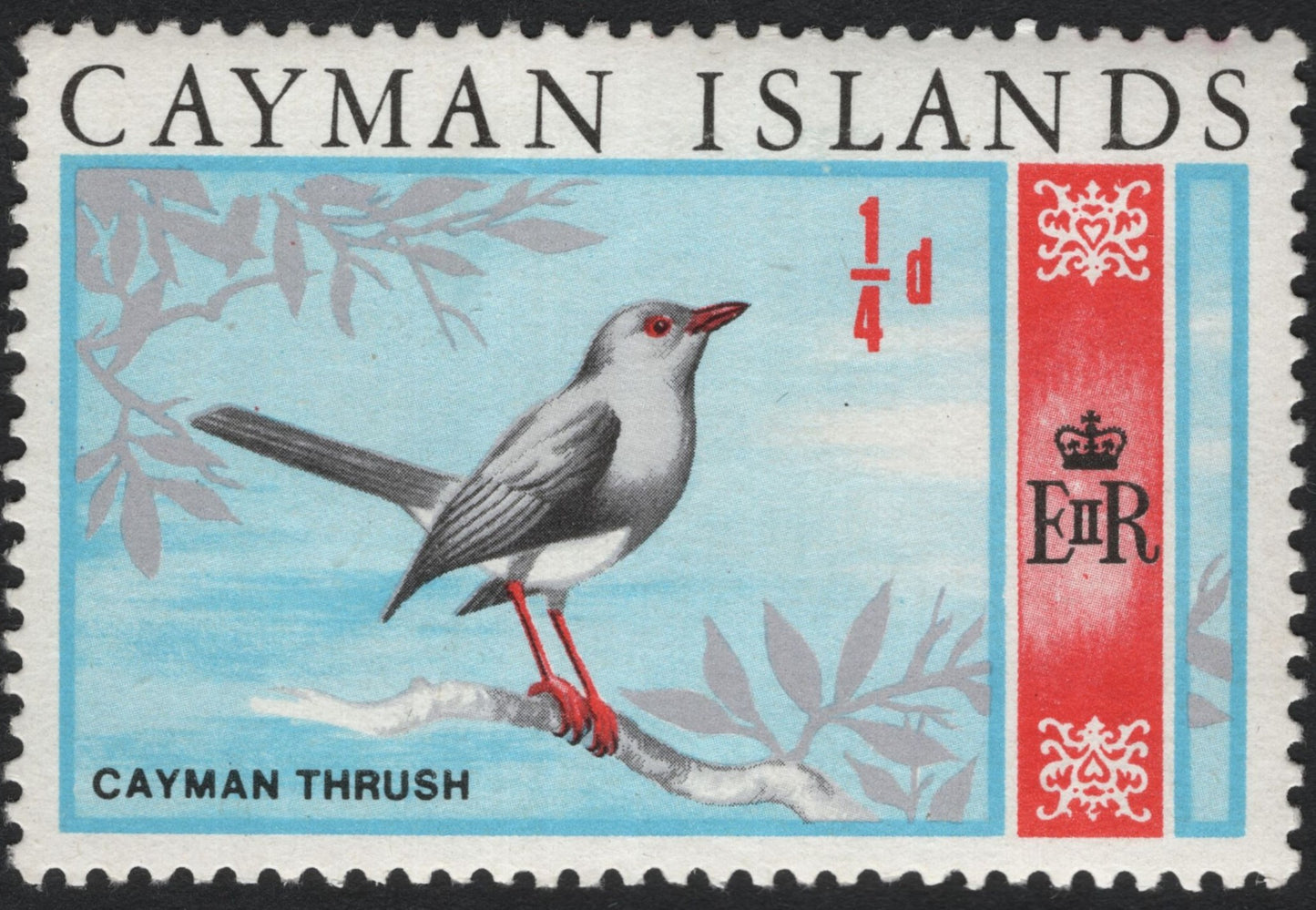 SCG10442 - Cayman Islands – Cayman Thrush ¼d Bird Definitive (QEII Era)
