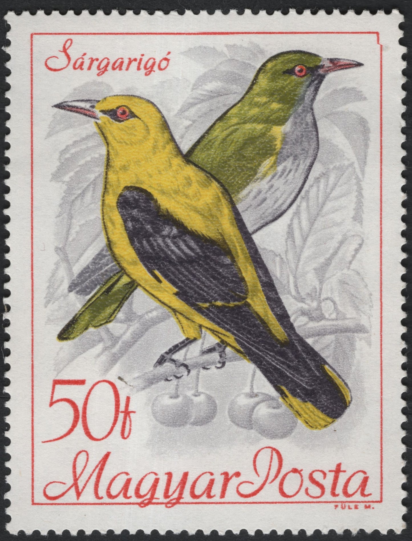 SCG10460 - Hungary 50f “Sárgarigó” Eurasian Golden Oriole Bird Stamp