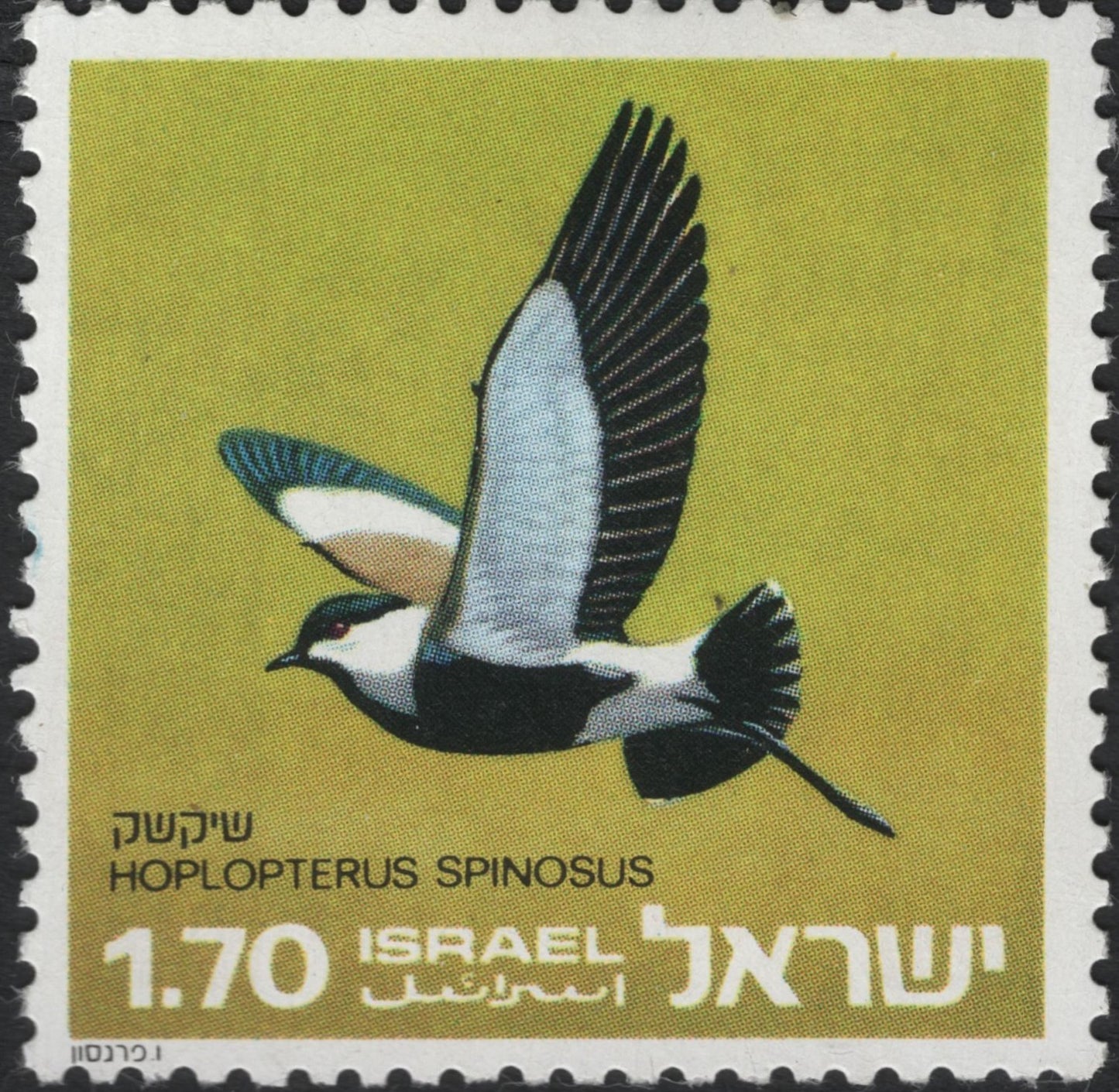 SCG10478 - Israel 1970s – Spur-Winged Lapwing (Hoplopterus spinosus) – 1.70 IL Bird Definitive