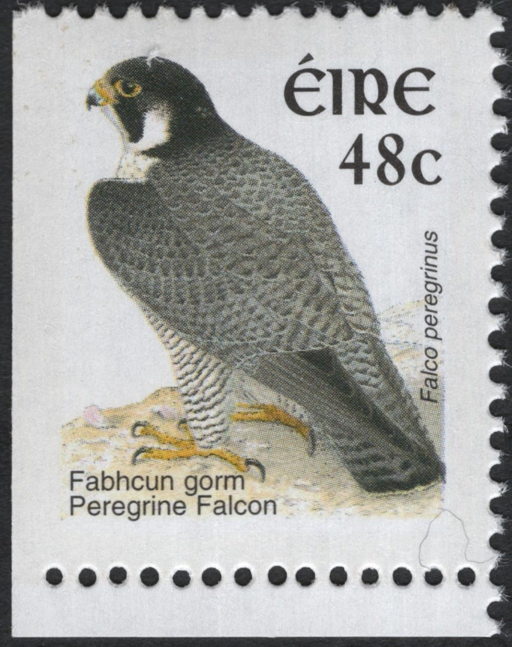 SCG10484 - Ireland 48c Peregrine Falcon – “Fabhcun gorm” – Wildlife Definitive