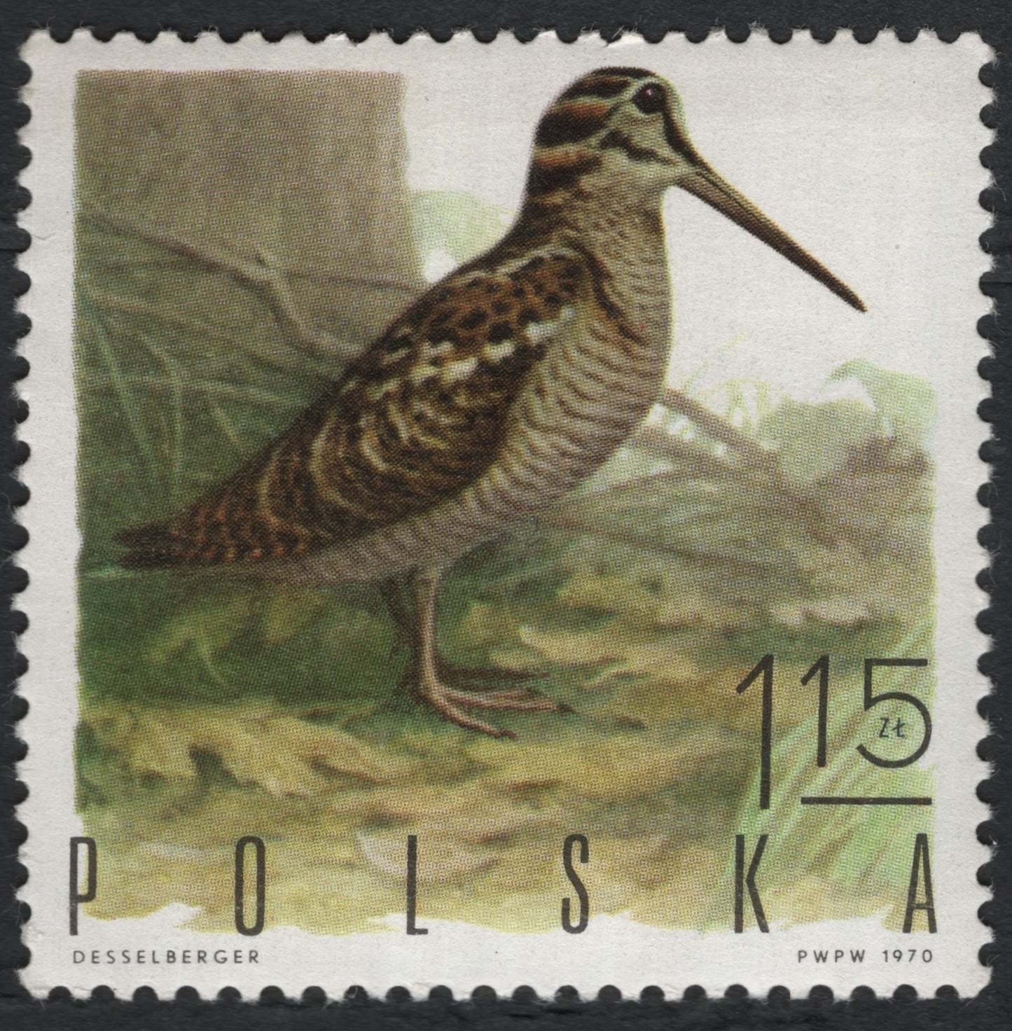 SCG10464 - 🇵🇱 Poland 1970 – Eurasian Woodcock (115 zł)