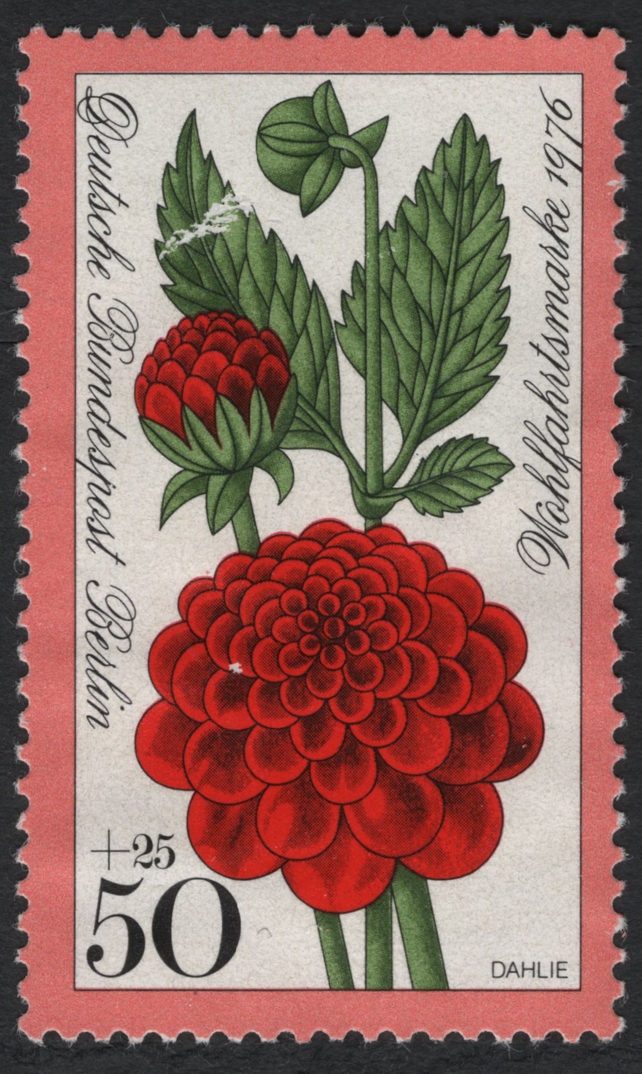 SCG10497 - Germany (Berlin) 1976 – Dahlia Flower Semi-Postal 50+25 Pf, Welfare Issue