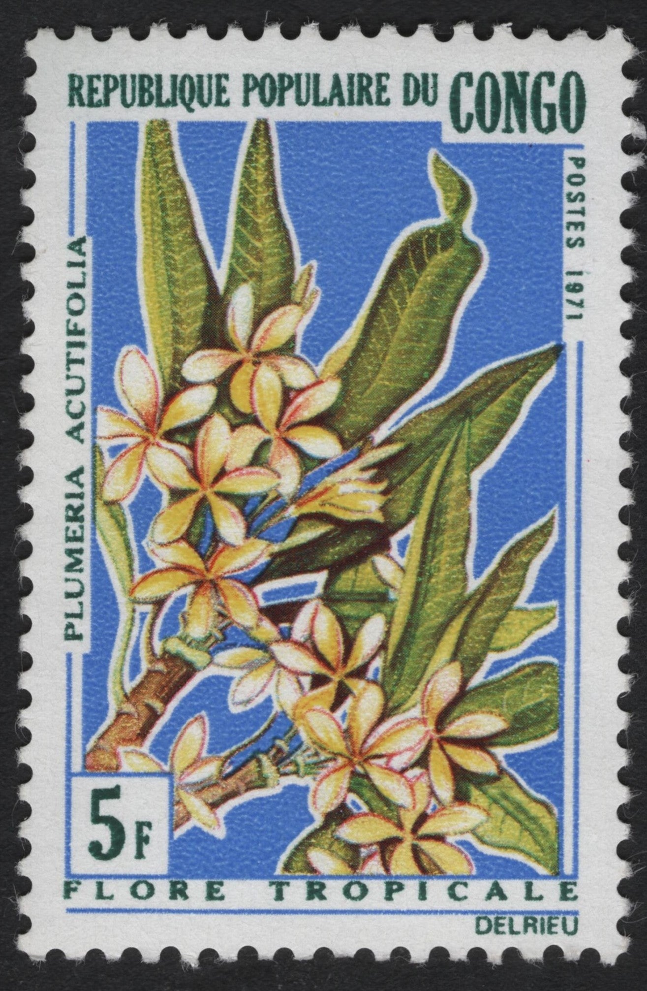 SCG10659 - Congo 1971 Plumeria acutifolia – Tropical Flora 5F
