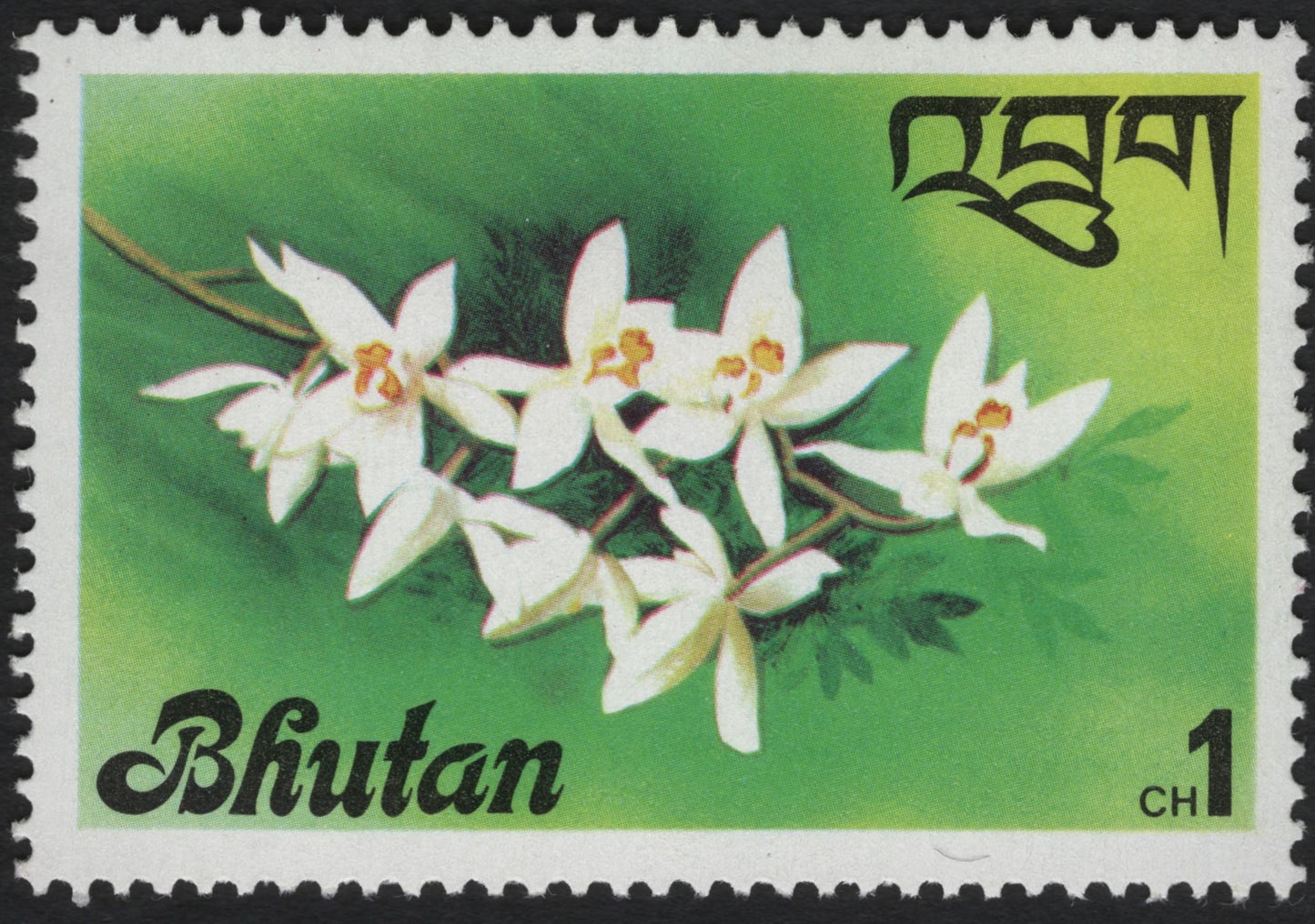 SCG10692 - Bhutan 1 Chhertum White Orchid Stamp