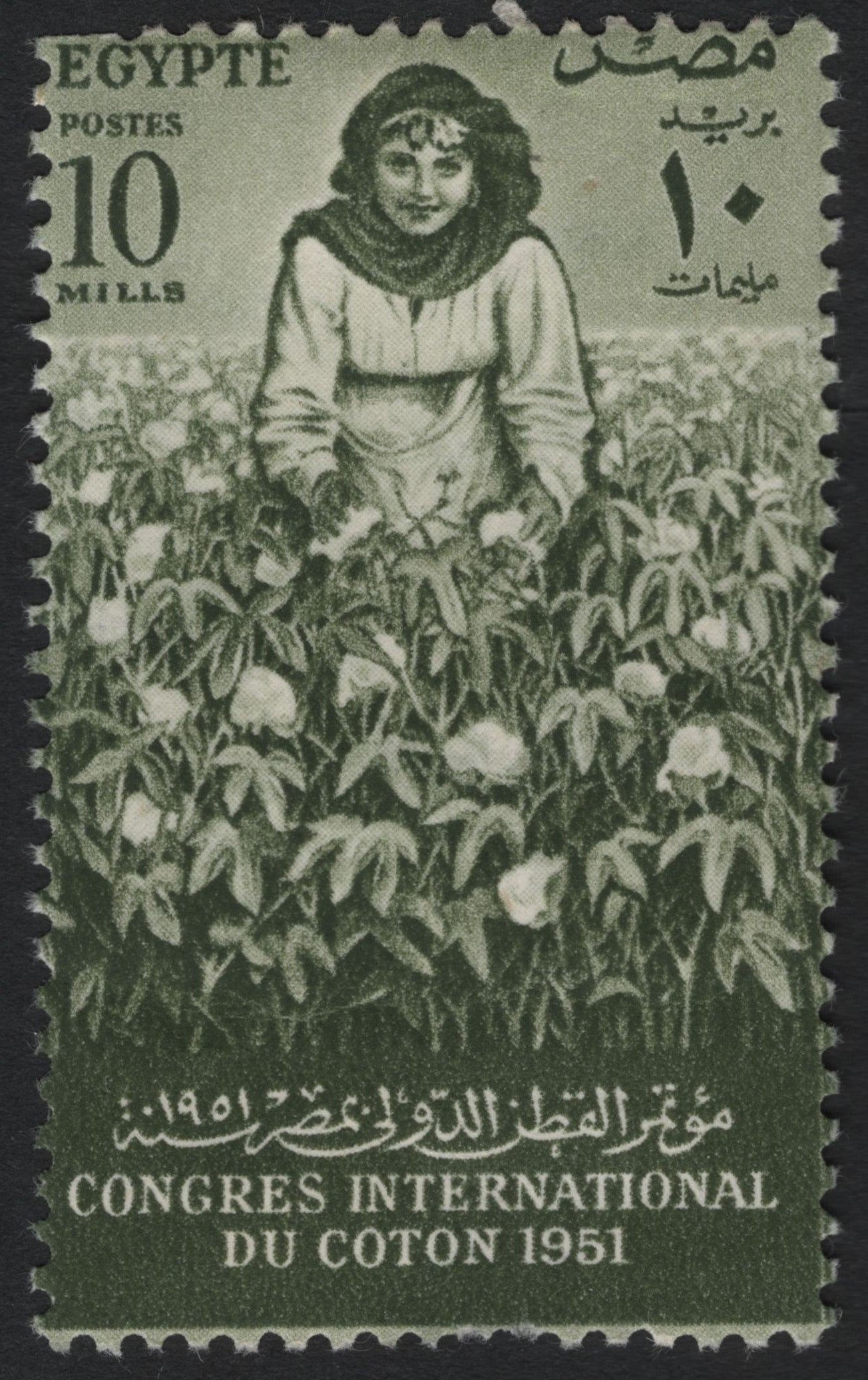 SCG10731 - Egypt 1951 International Cotton Congress – 10 Milliemes