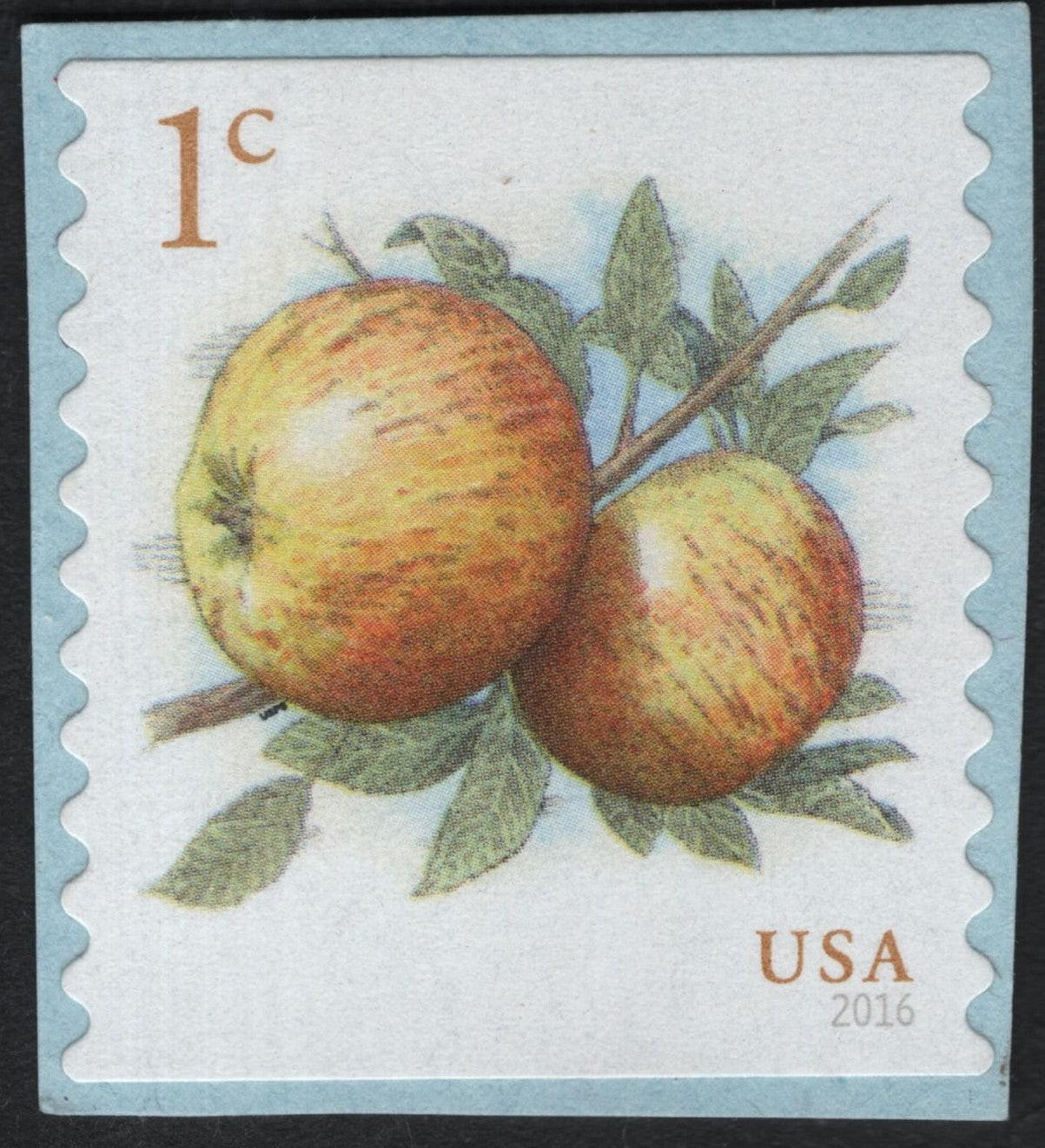 SCG10775 - USA 2016 – 1¢ Apples Definitive Stamp