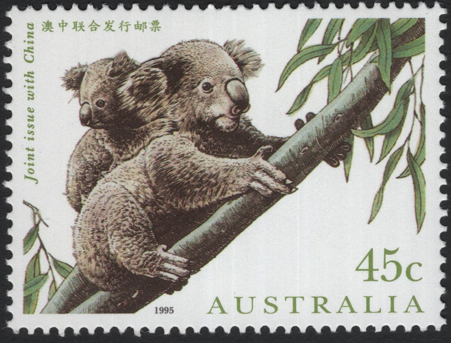 SCG10812 - Australia 1995 Koalas — Joint Issue with China (45c)