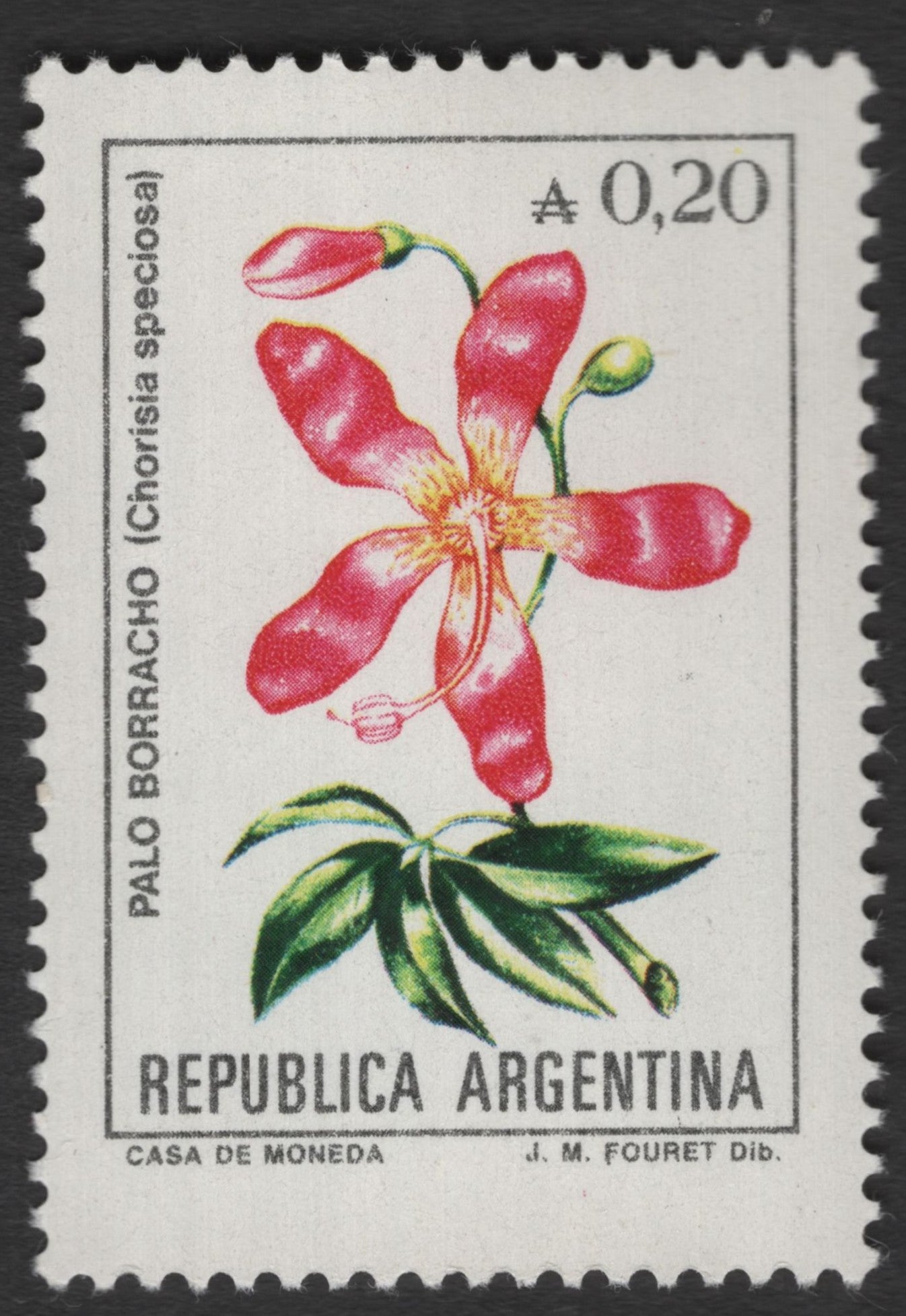 SCG11230 - Palo Borracho Flower – Chorisia speciosa (0,20) | Argentina