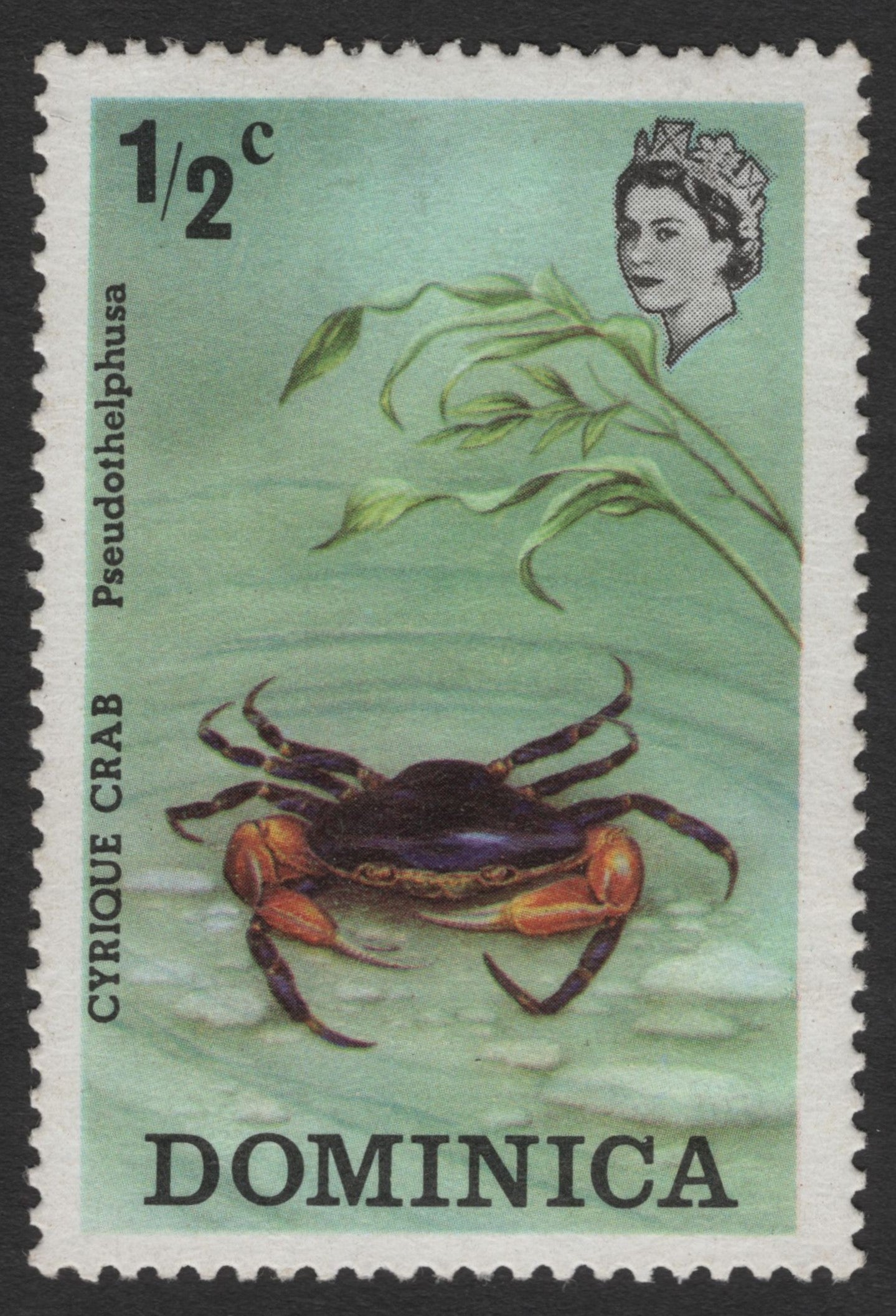 SCG12014 - Dominica Cyrtique Crab (Pseudothelphusa) – ½c Wildlife Issue