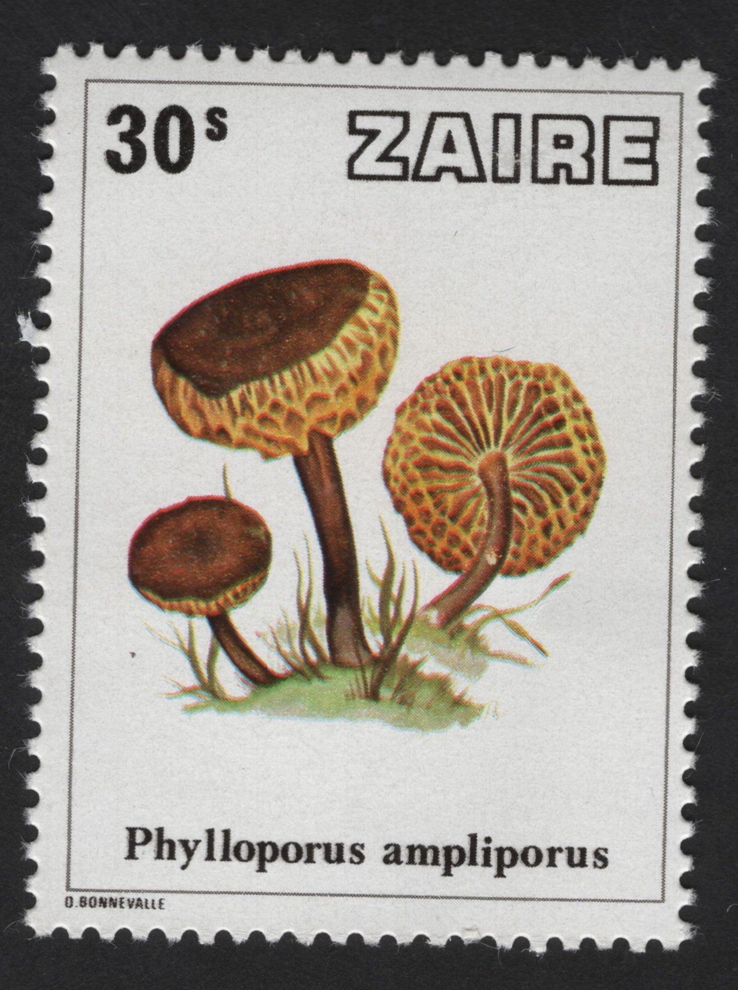 SCG13876 - Phylloporus ampliporus Mushroom Stamp – 30s (Zaire)