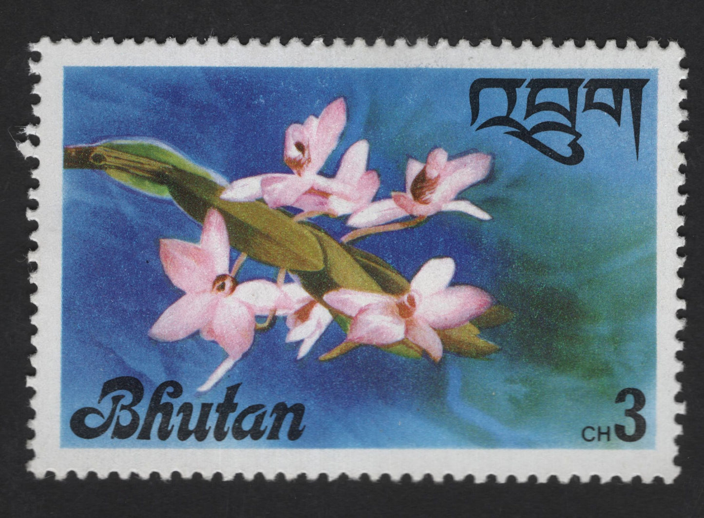SCG13908 - Bhutan 3 Chhertum Orchid Definitive Stamp
