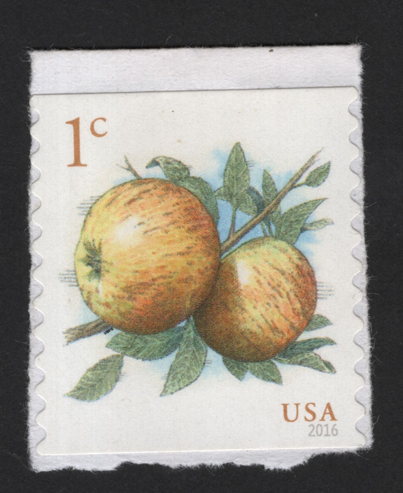 SCG13973 - USA 2016 – Apples Definitive Stamp (1¢)
